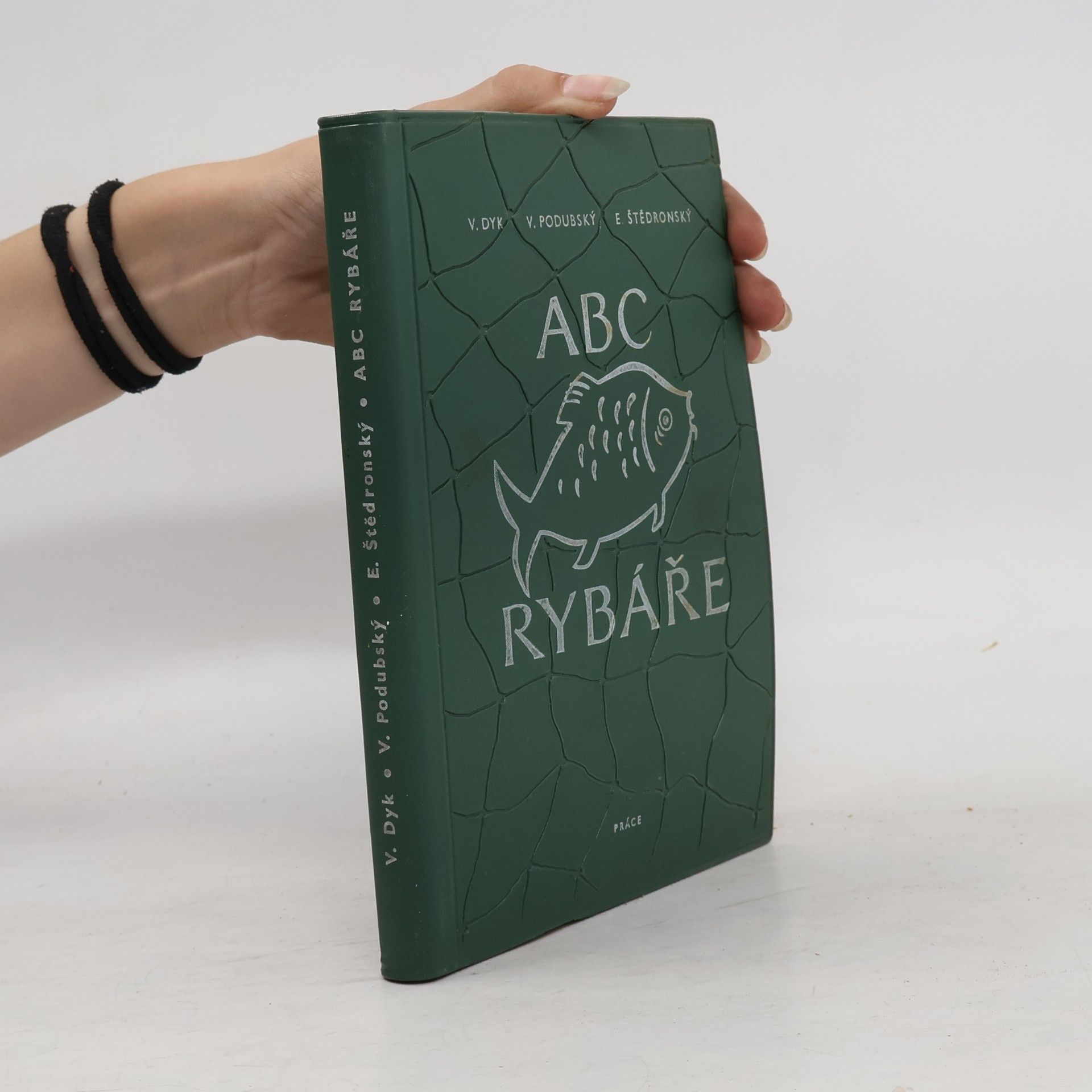 Kolektiv autorů ABC rybáře