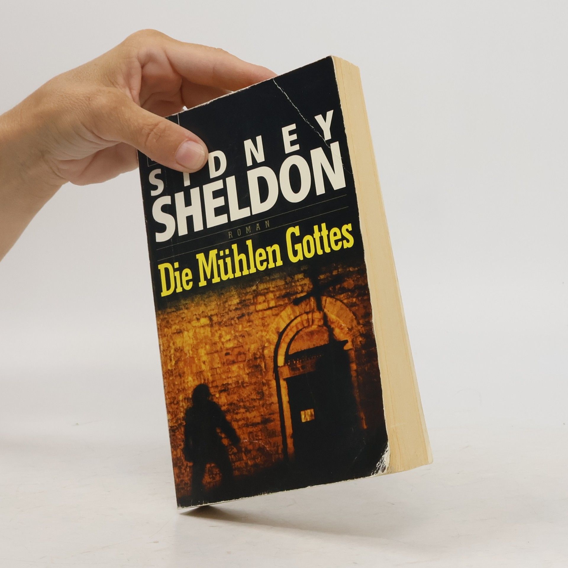 Sidney Sheldon Die Mühlen Gottes