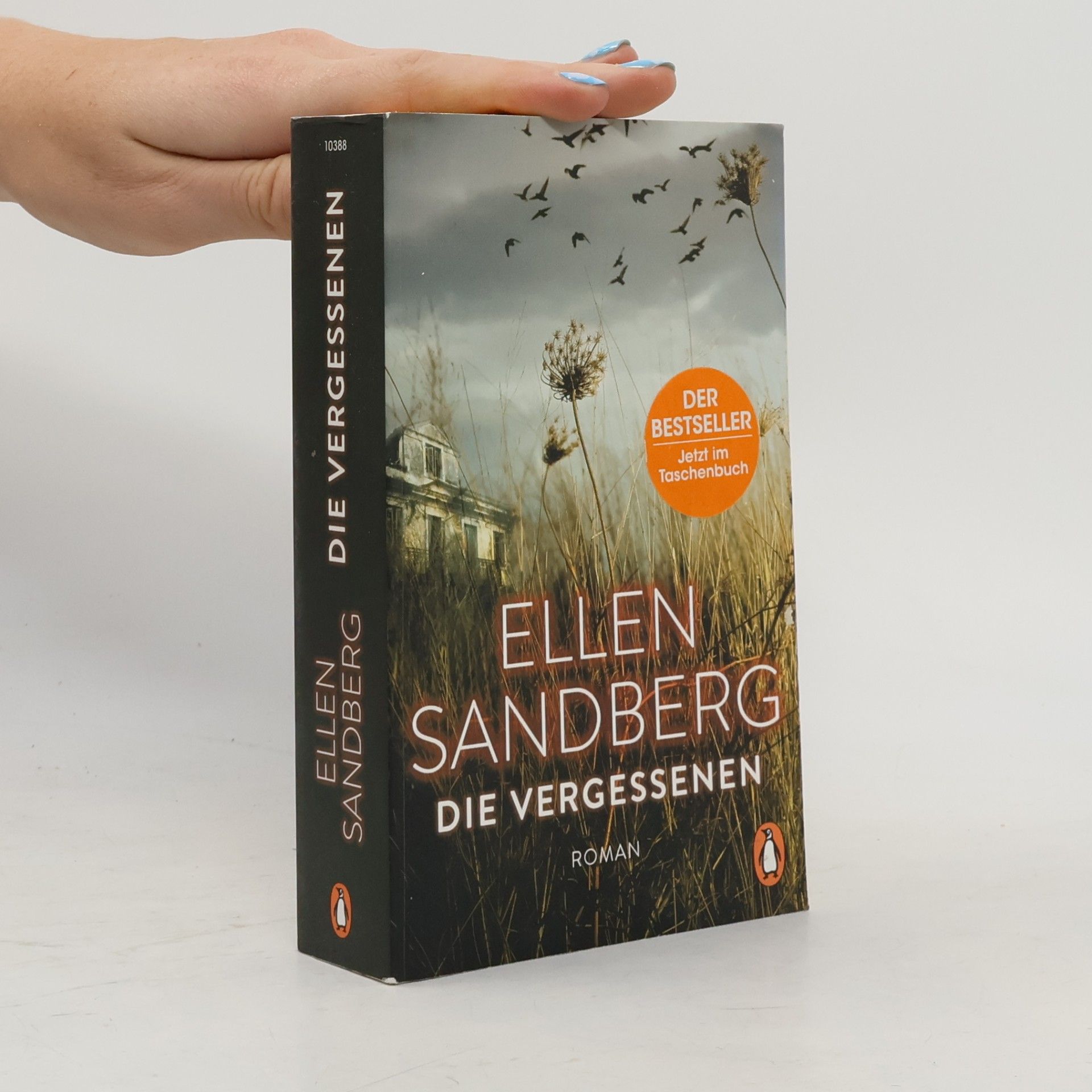 Ellen Sandberg Die Vergessenen