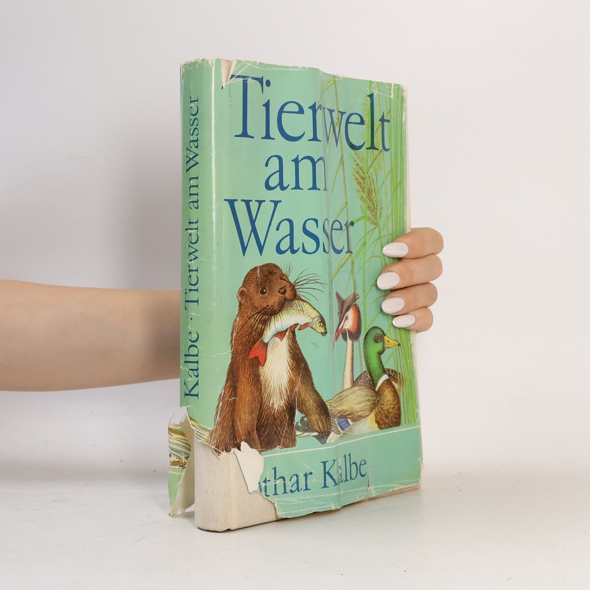 Lothar Kalbe Tierwelt am Wasser