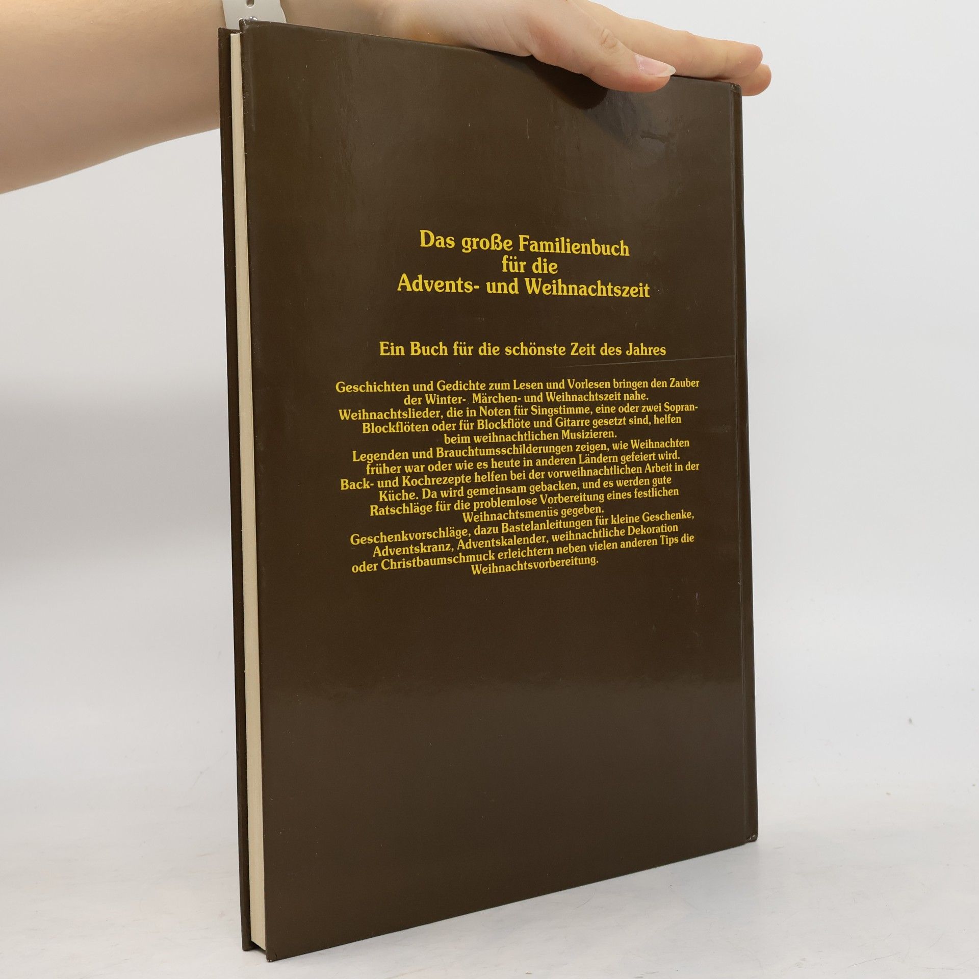 Autorenkollektiv Das große Familienbuch für die Advents-und Weihnachtszeit