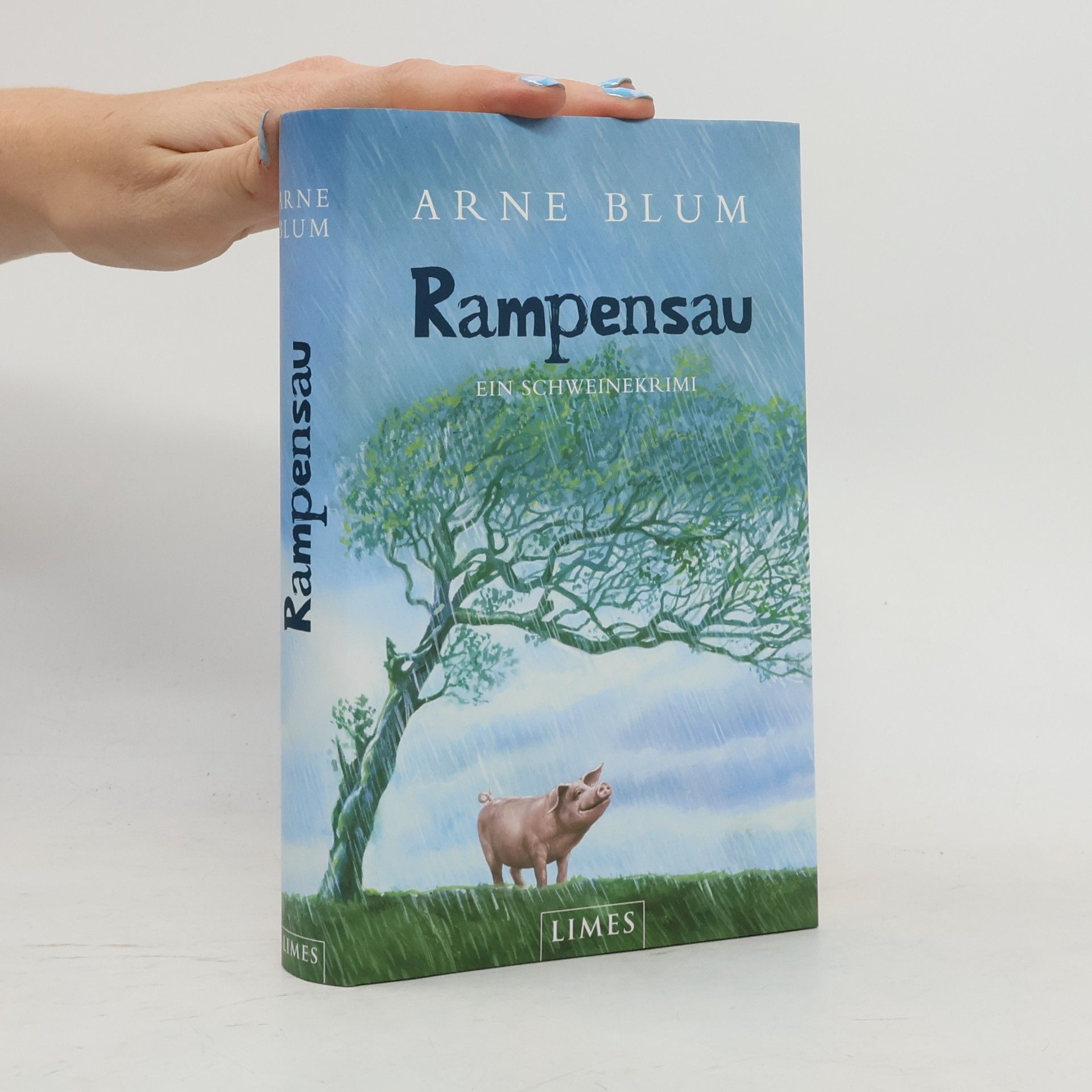 Arne Blum Rampensau