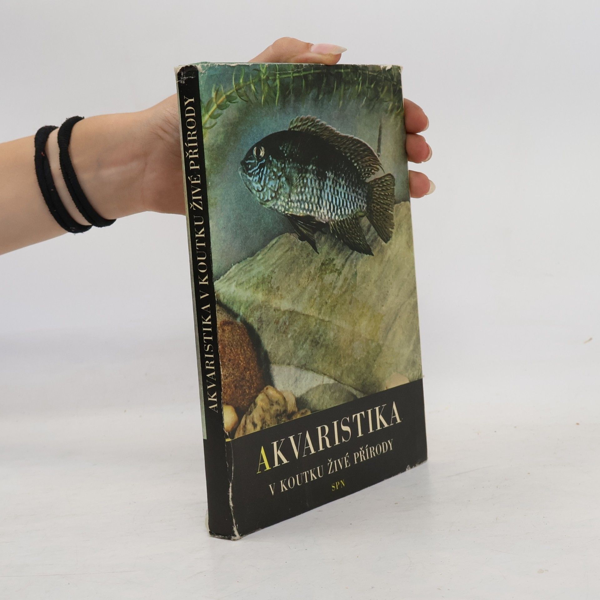 Kolektiv autorů Akvaristika v koutku živé přírody