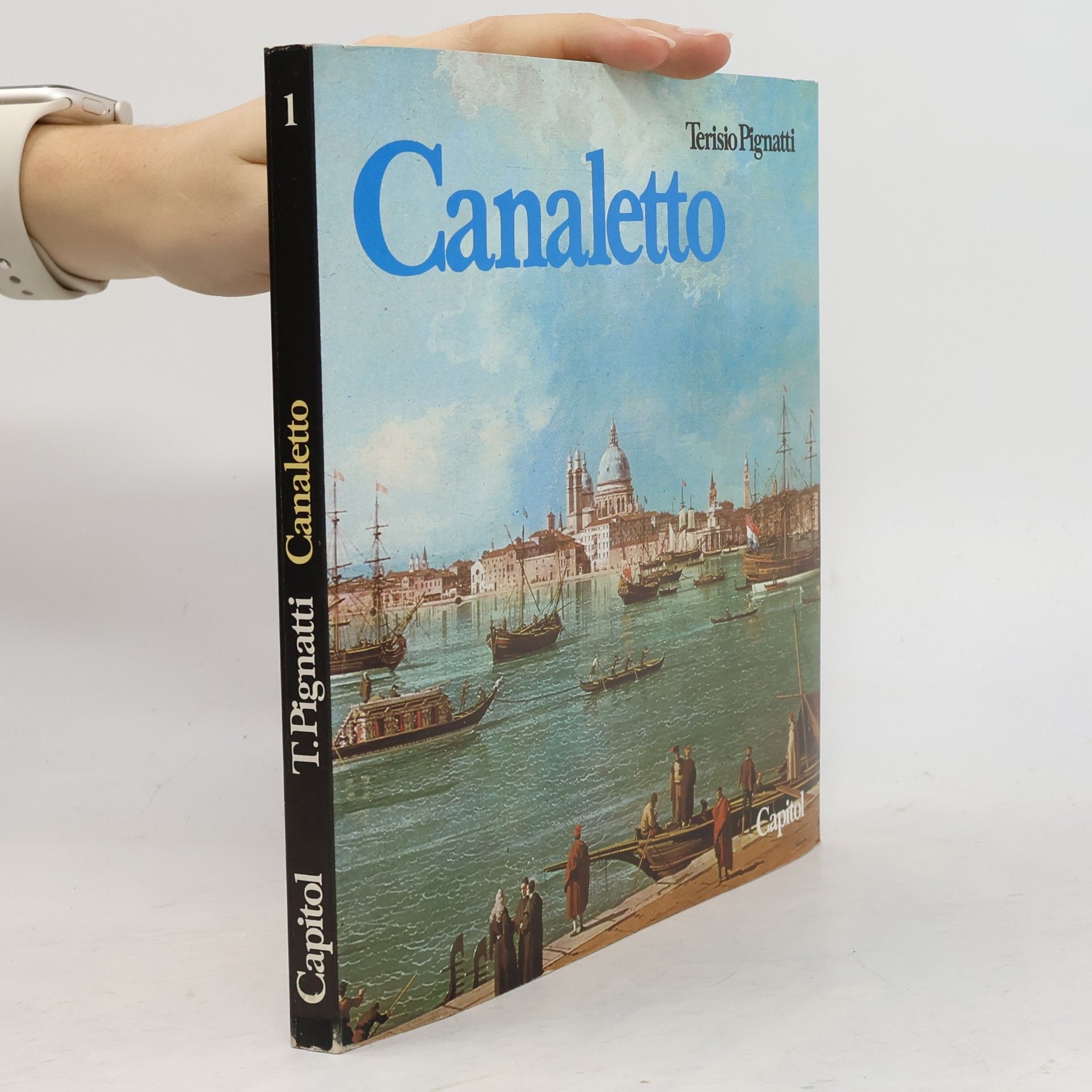 Terisio Pignatti Canaletto