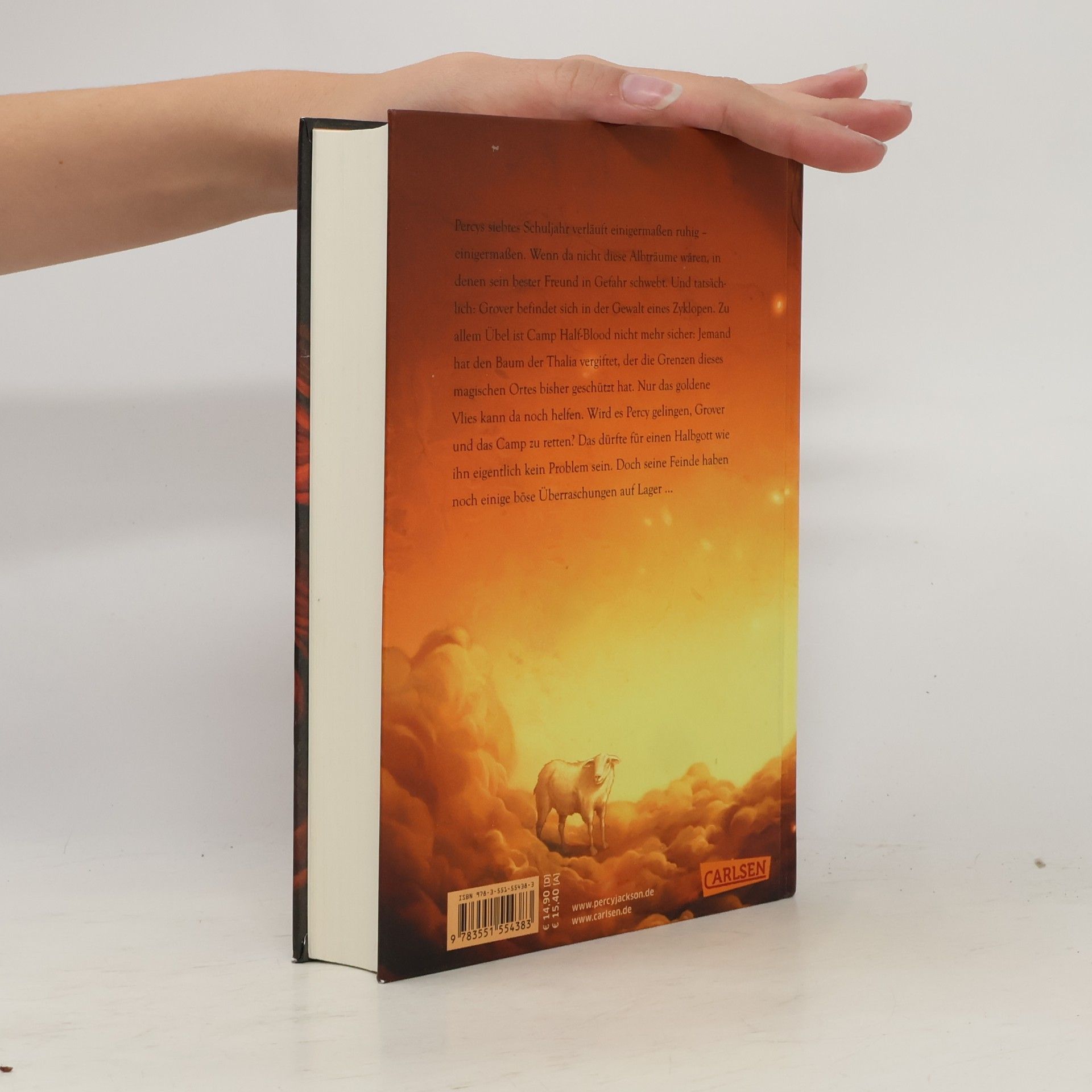 Rick Riordan Percy Jackson Band. Im Bann des Zyklopen