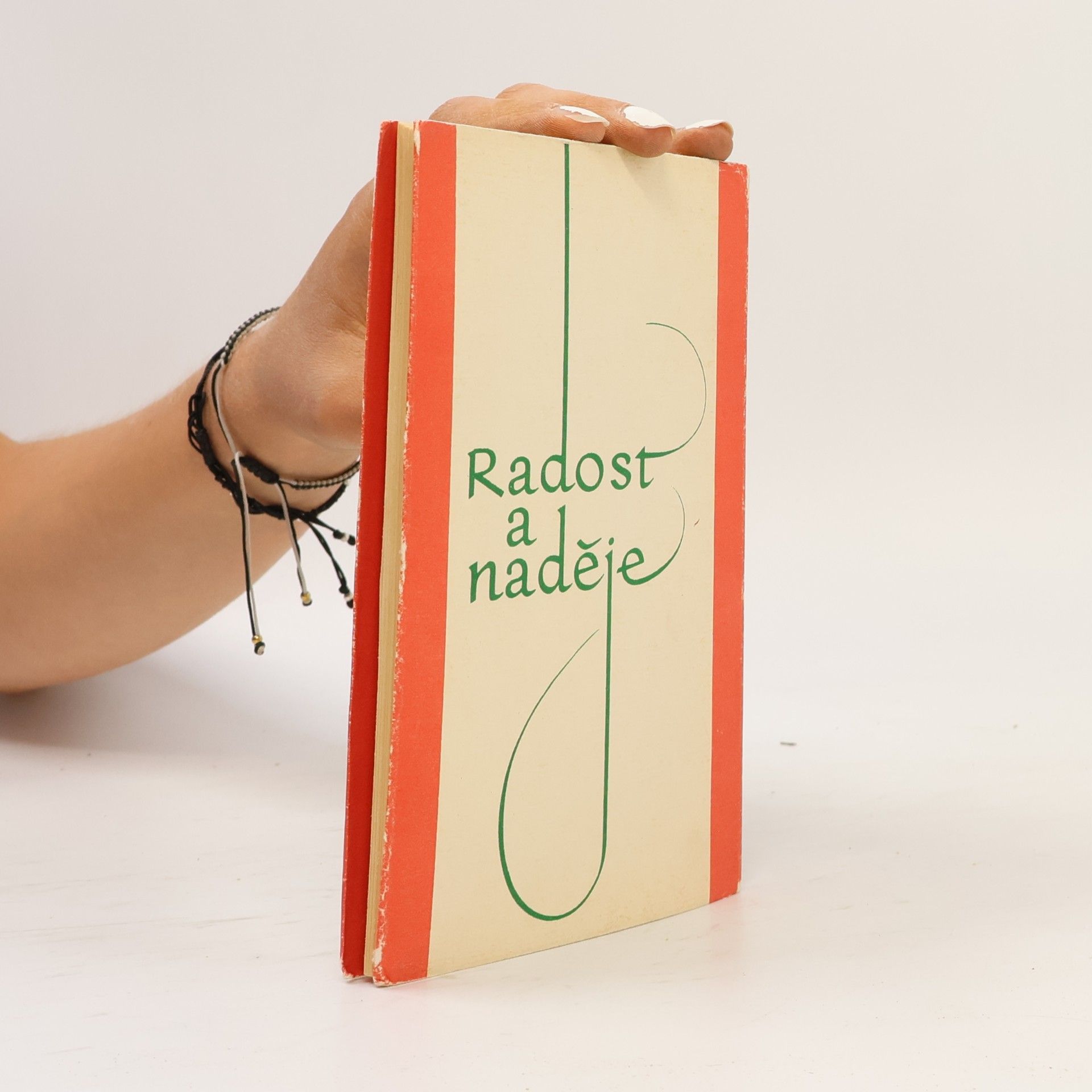 Autorenkollektiv Gaudium et spes. Radost a naděje