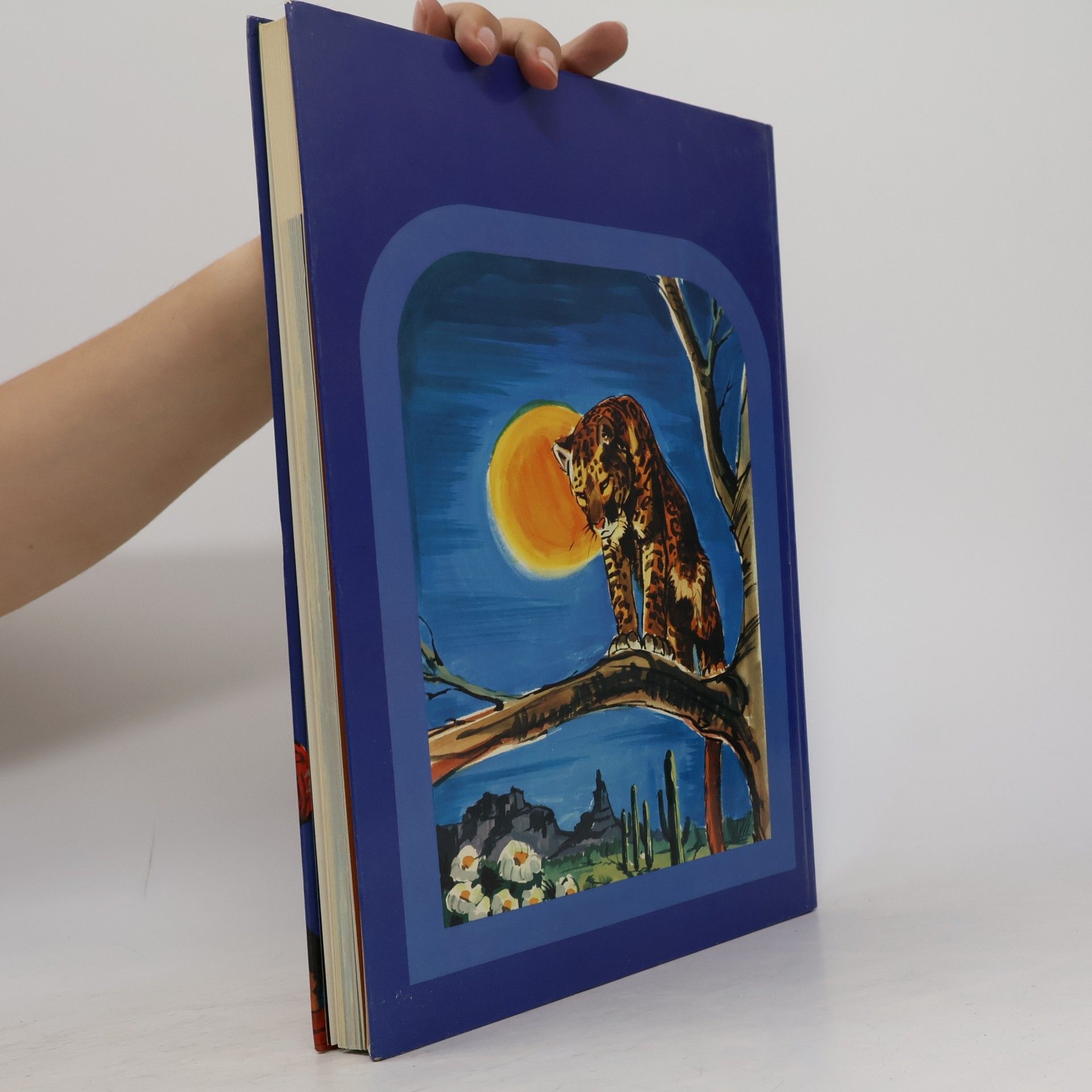 Autorenkollektiv Jugend Atlas