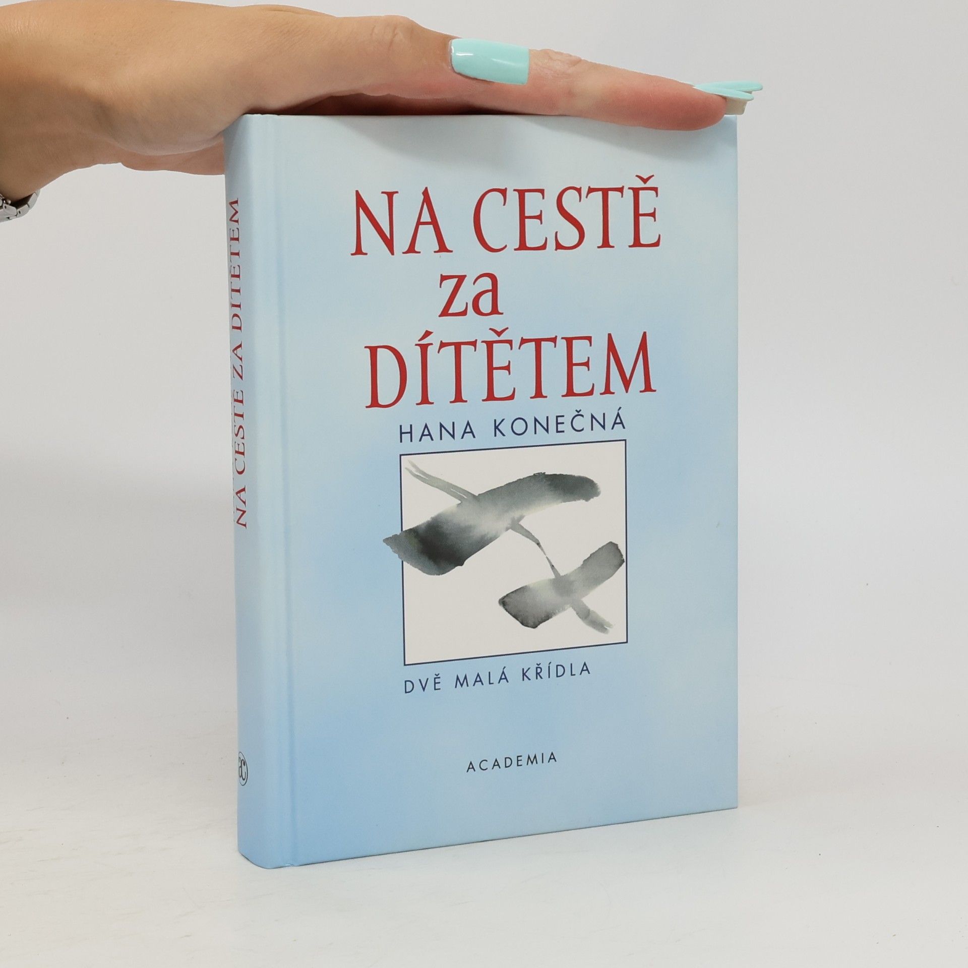 Hana Konečná Na cestě za dítětem. Dvě malá křídla
