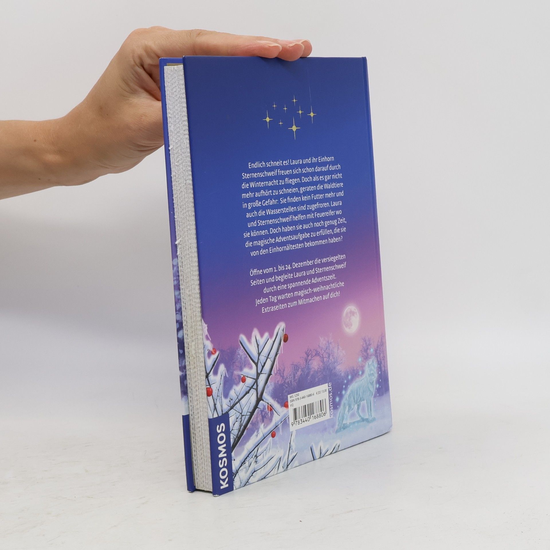 Linda Champan Sternenschweif Adventskalender Der Eiszauber