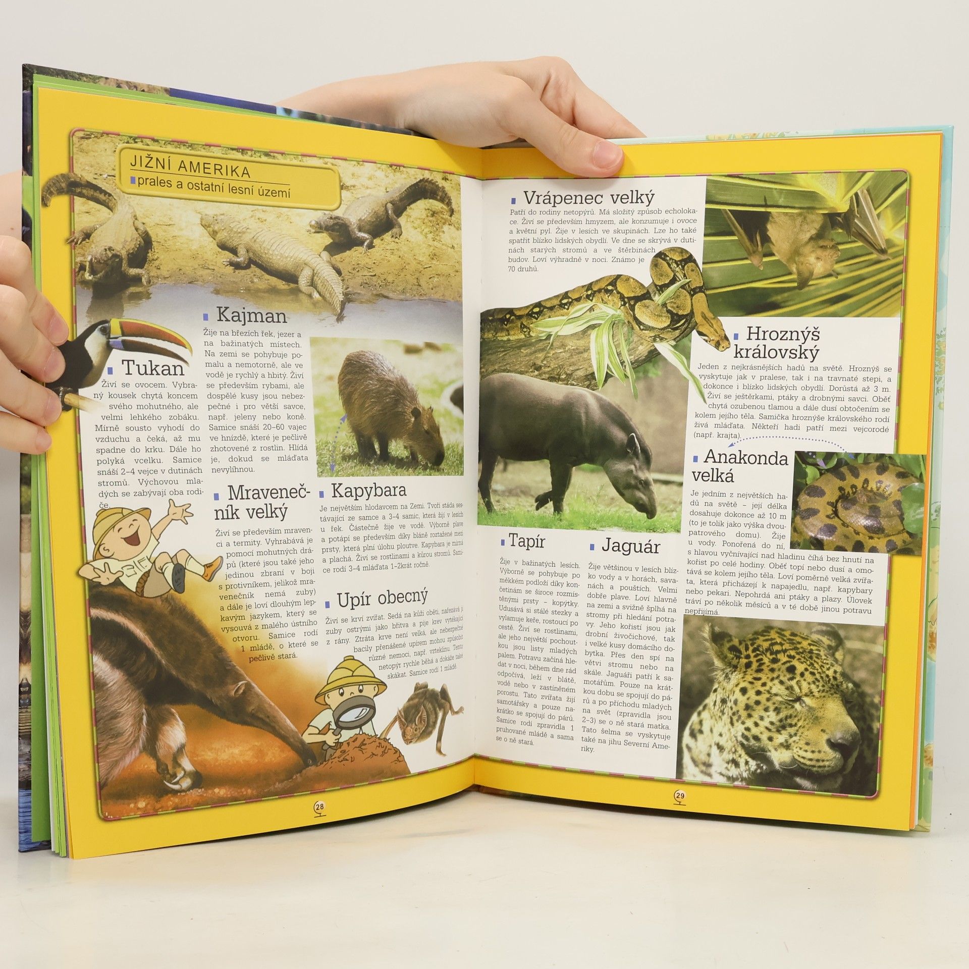 Collectif d'auteurs Bolek a Lolek. Atlas zvířat