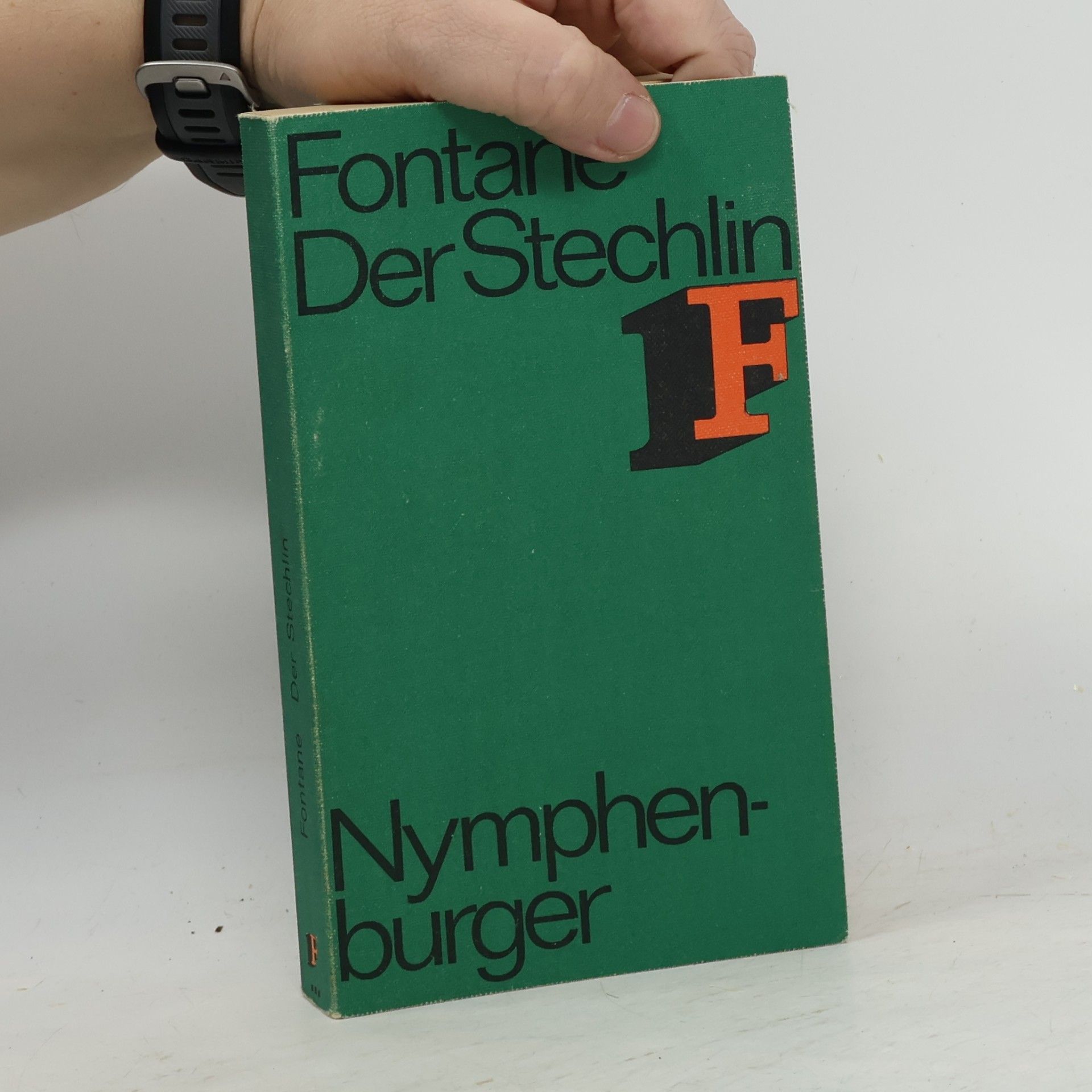 Theodor Fontane Der Stechlin