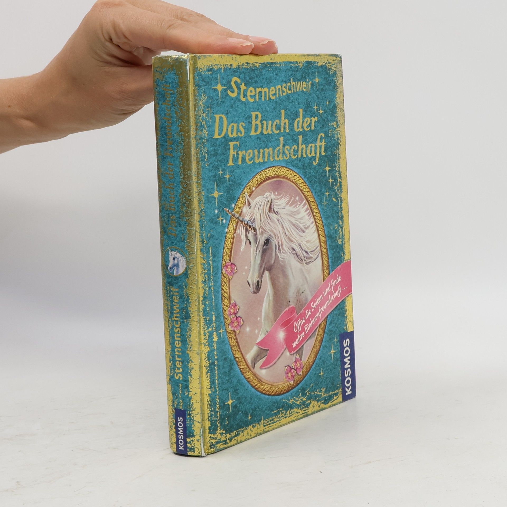 Linda Champan Sternenschweif. Das Buch der Ferundschaft
