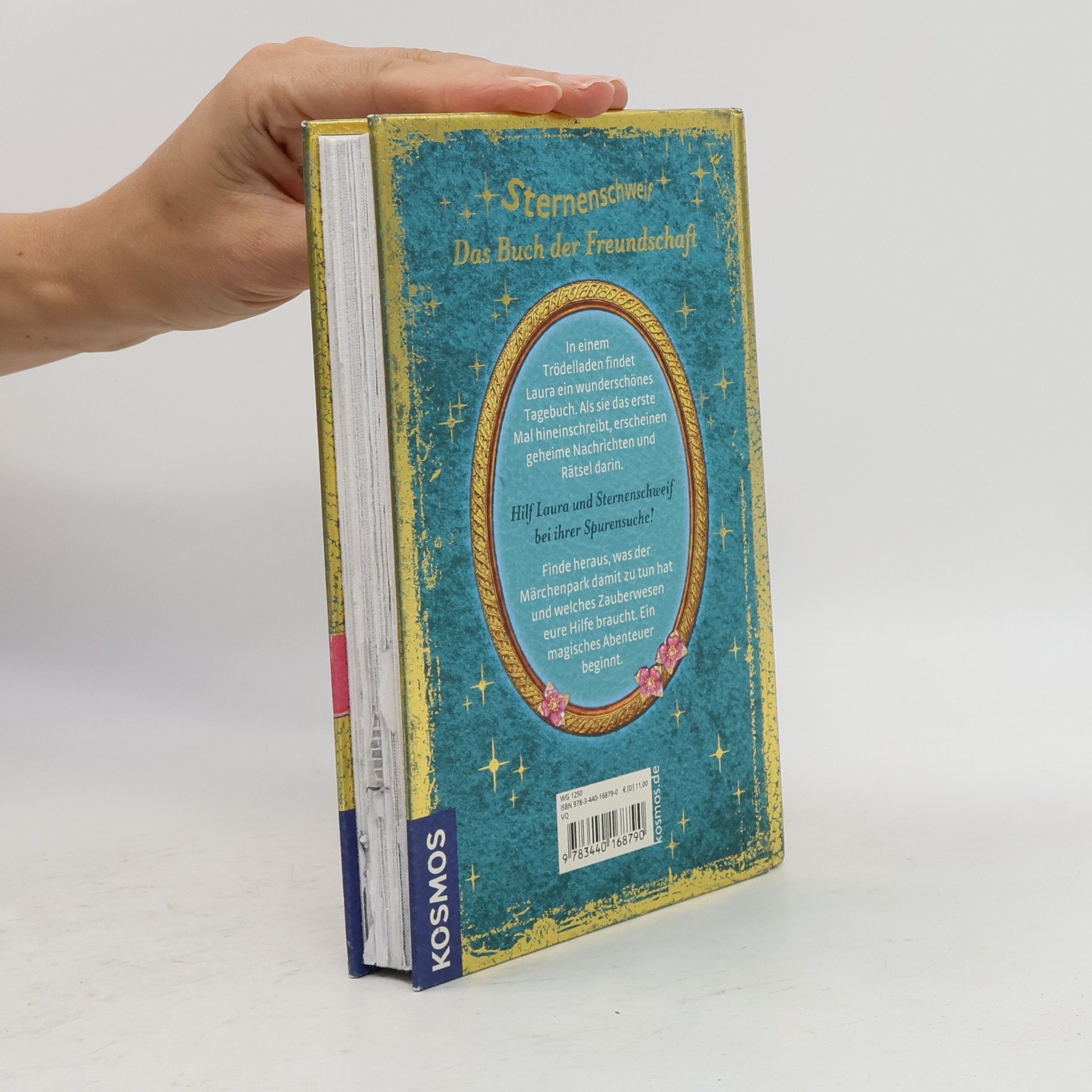 Linda Champan Sternenschweif. Das Buch der Ferundschaft