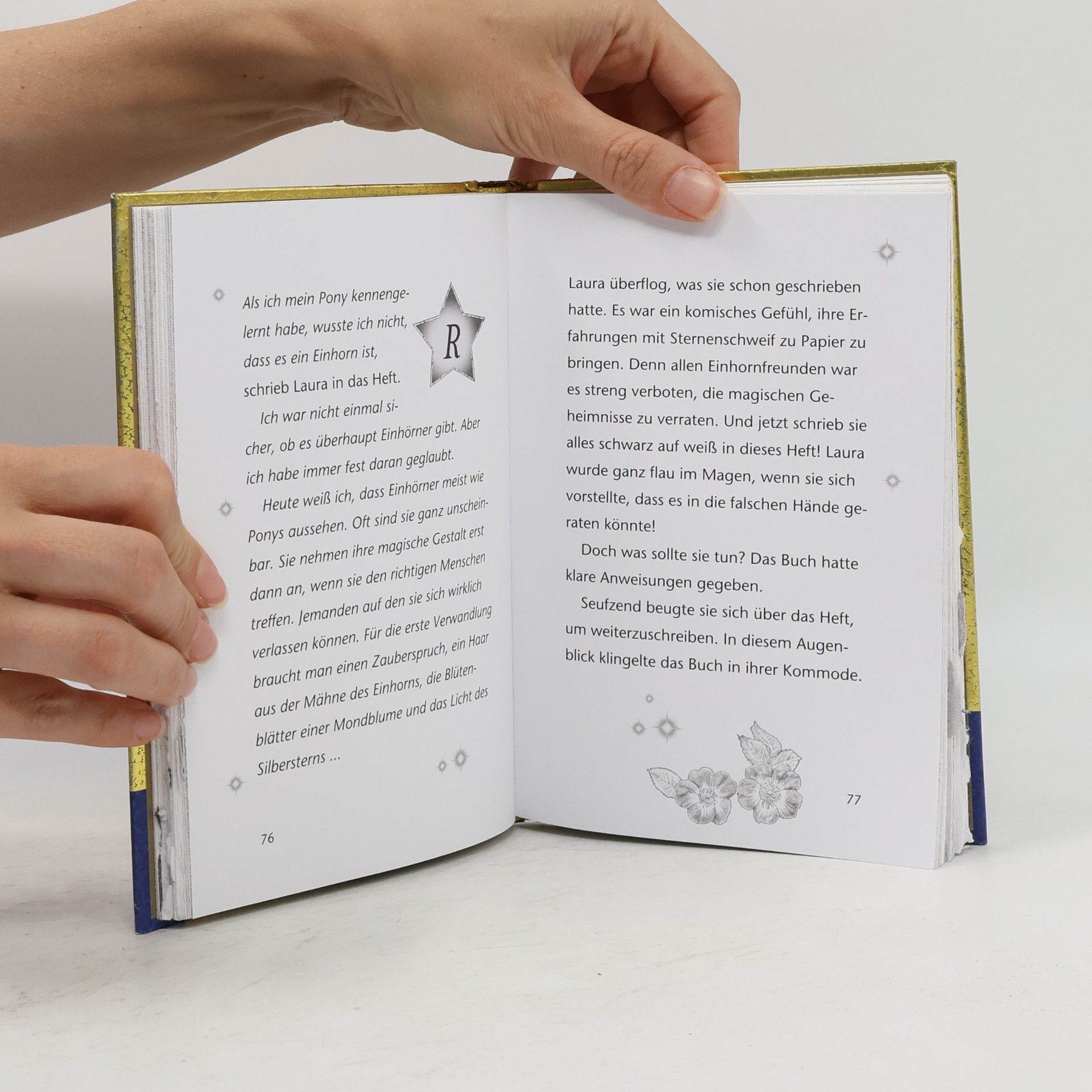 Linda Champan Sternenschweif. Das Buch der Ferundschaft
