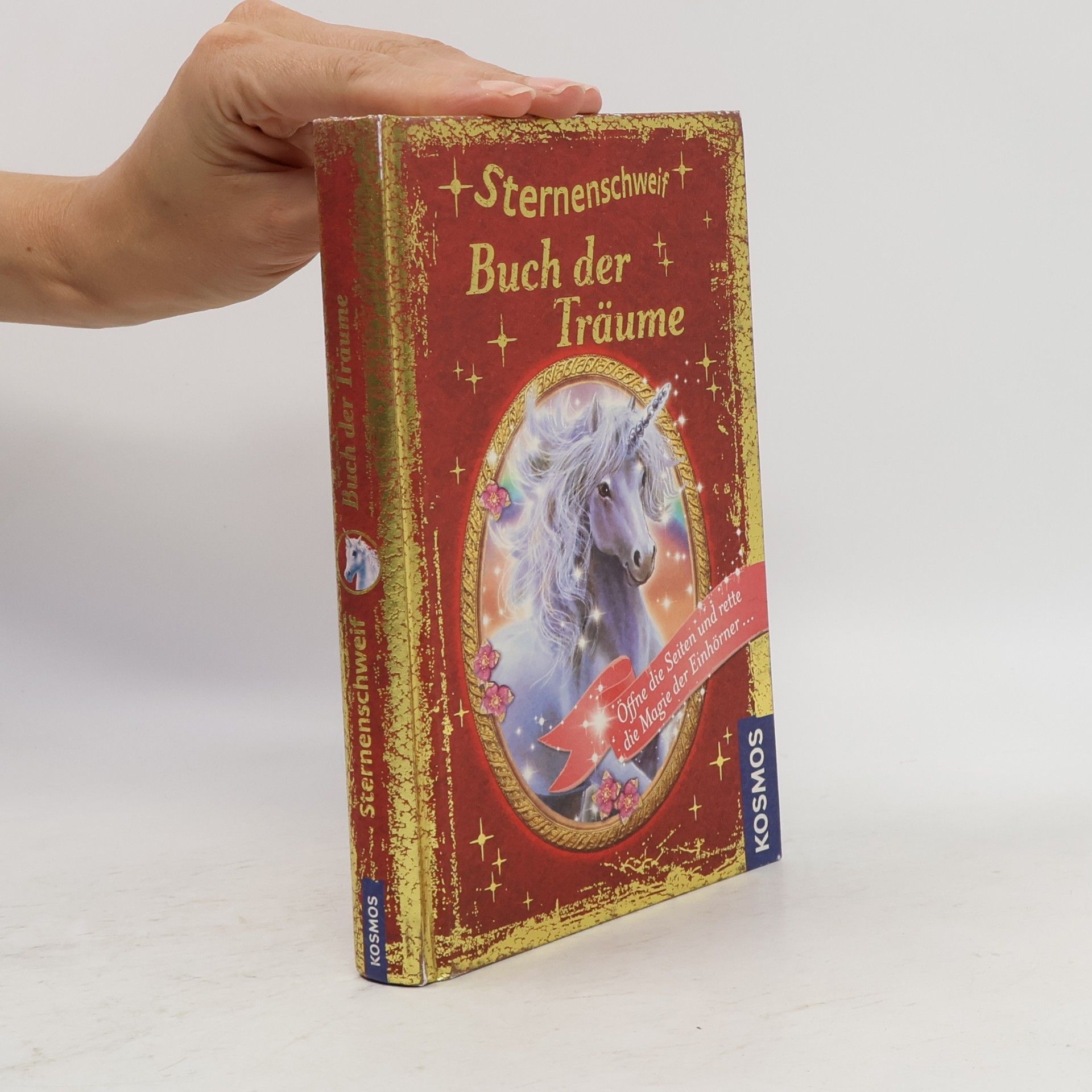 Linda Champan Sternenschweif - Buch der Träume