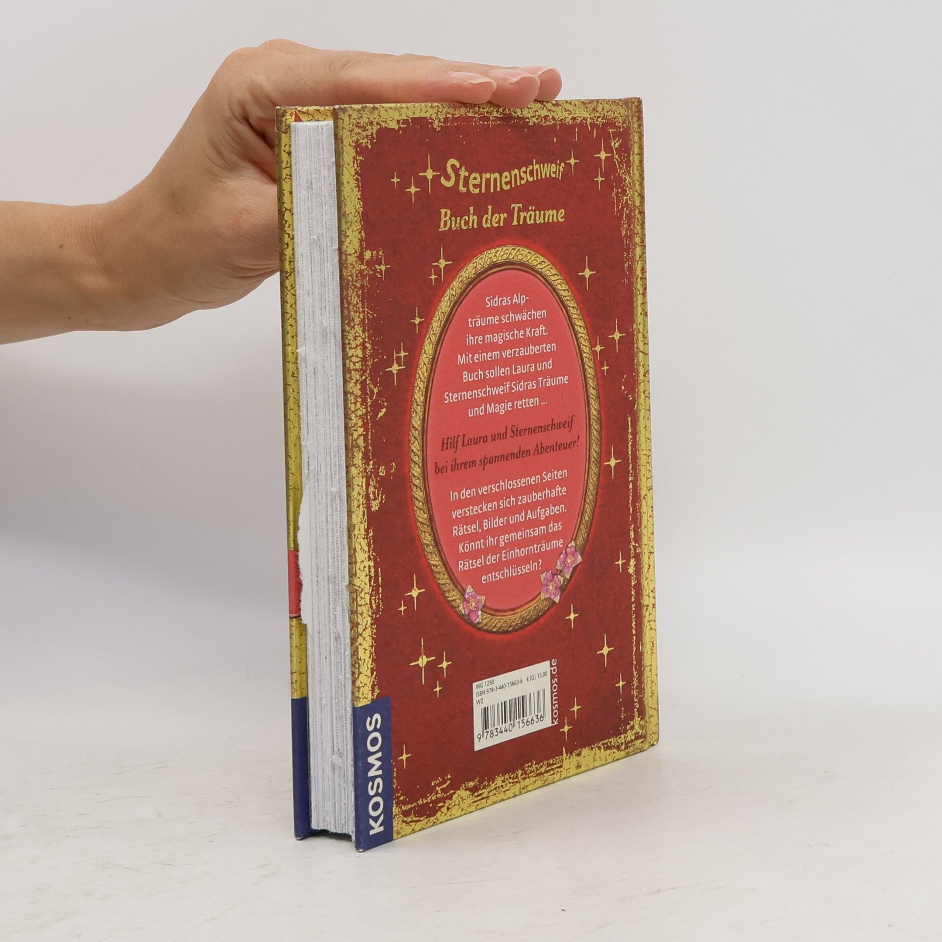Linda Champan Sternenschweif - Buch der Träume