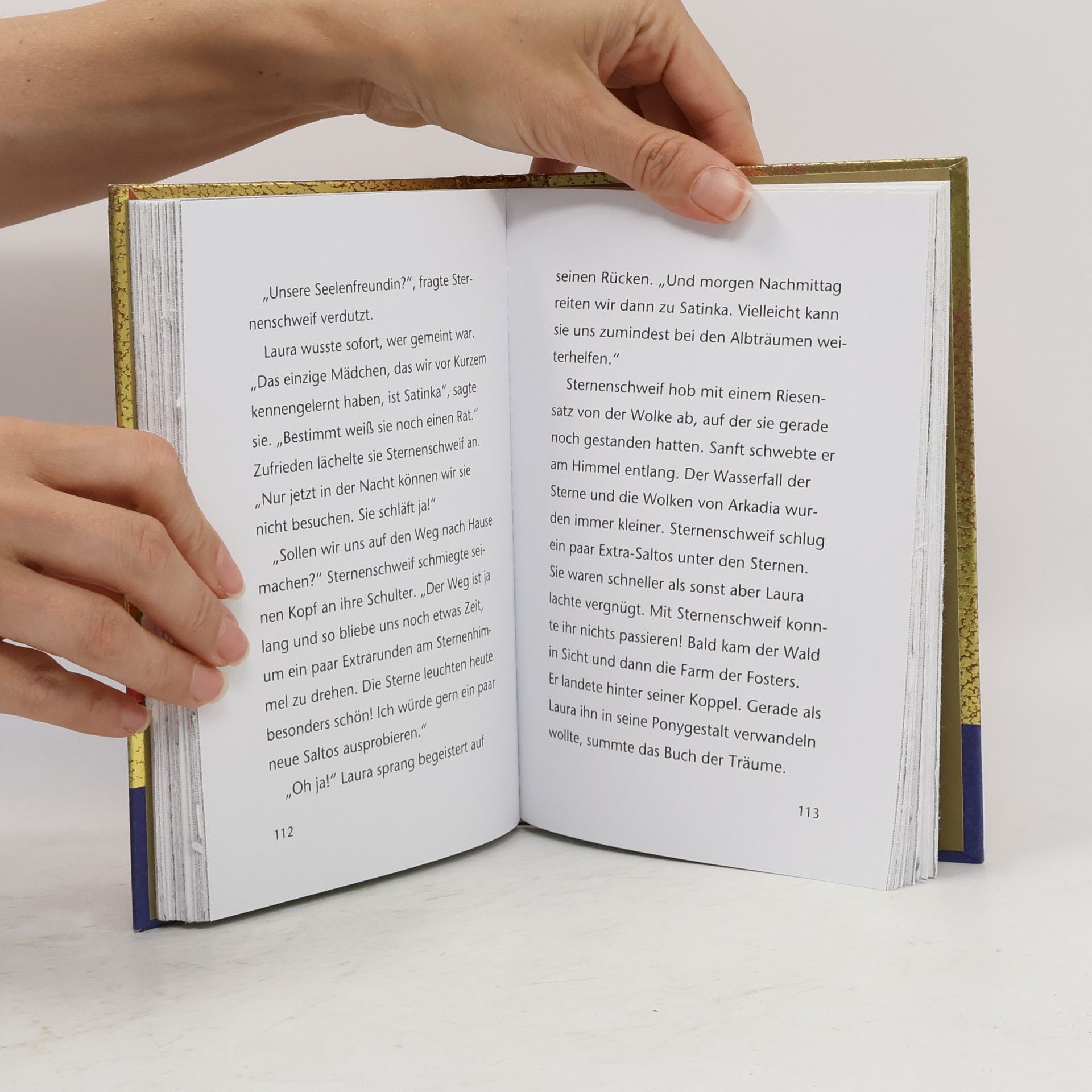 Linda Champan Sternenschweif - Buch der Träume