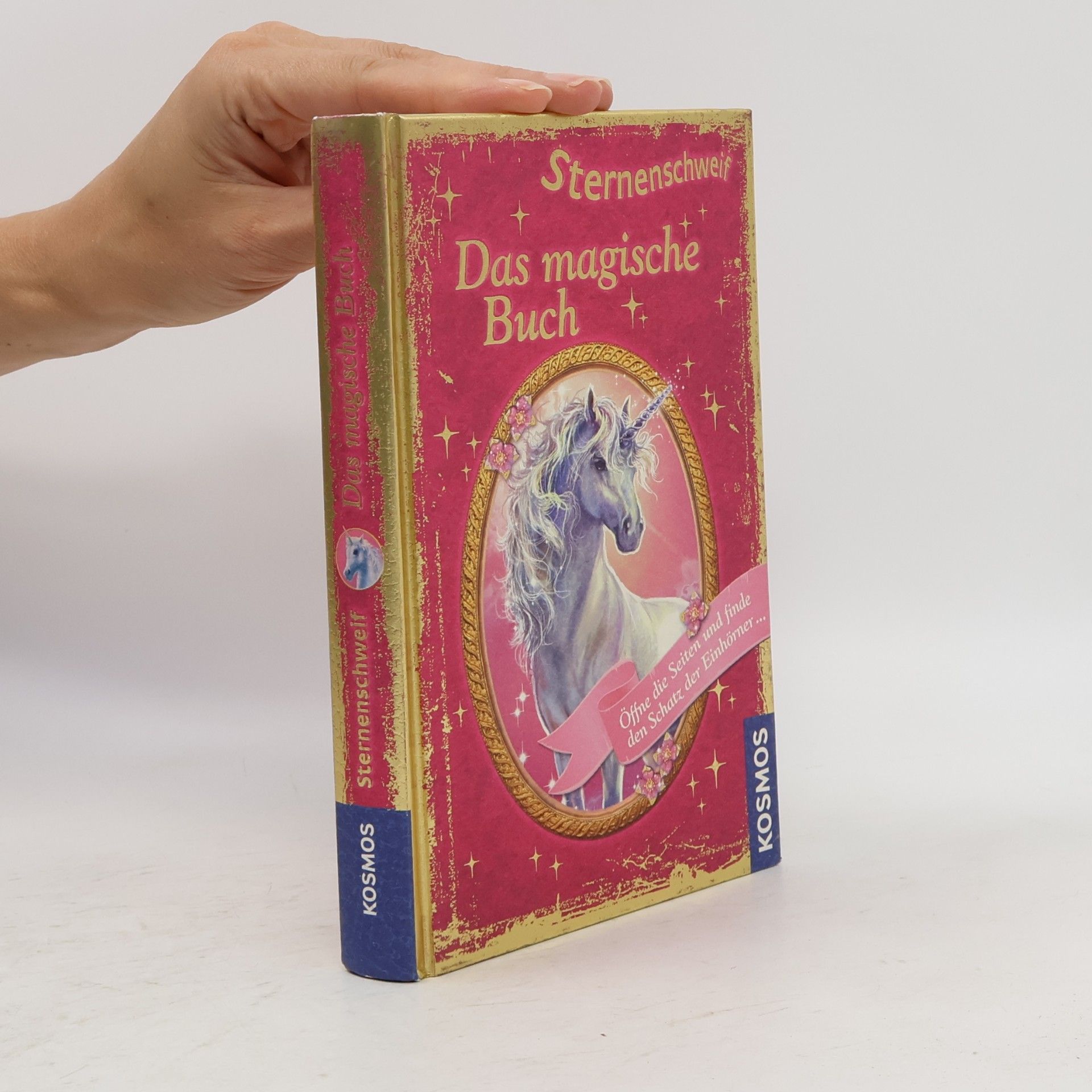 Carolin Ina Schröter Sternenschweif - das magische Buch