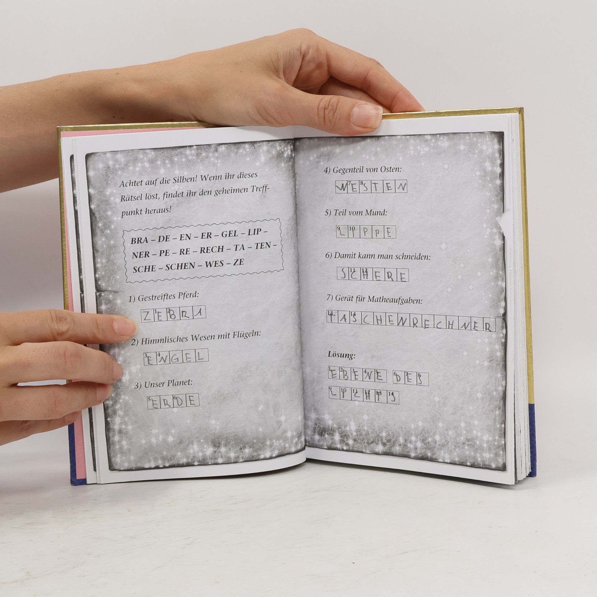 Carolin Ina Schröter Sternenschweif - das magische Buch