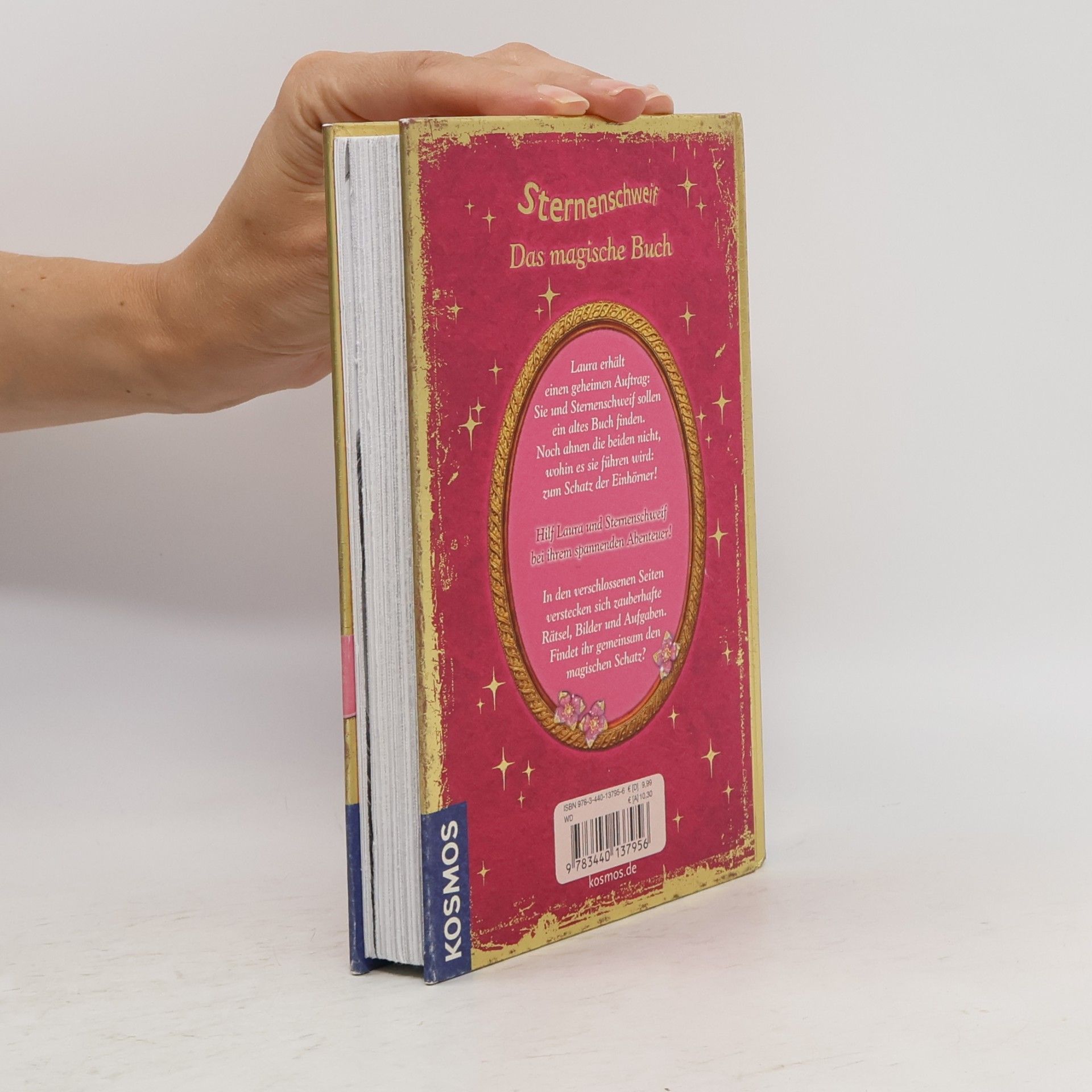 Carolin Ina Schröter Sternenschweif - das magische Buch