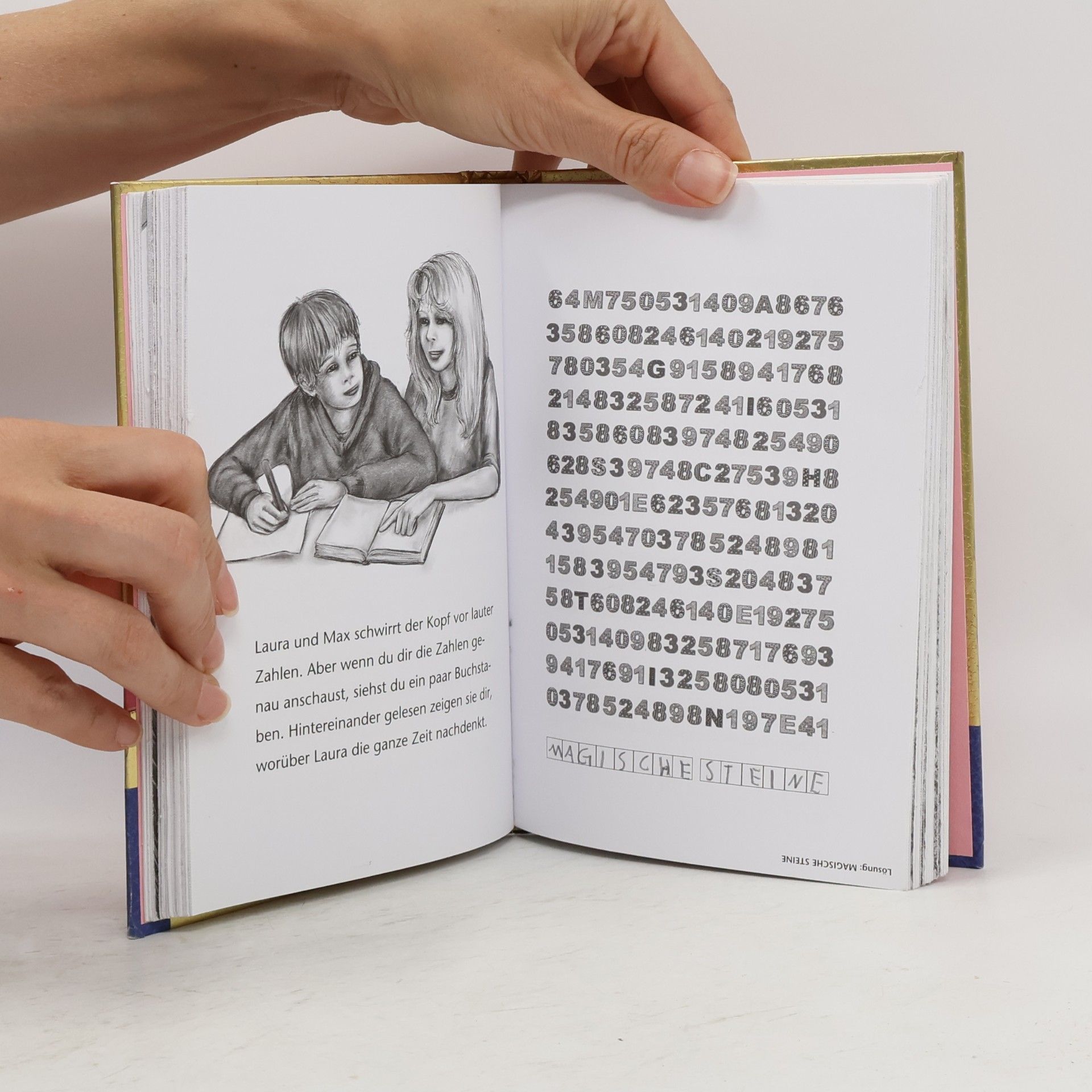 Carolin Ina Schröter Sternenschweif - das magische Buch