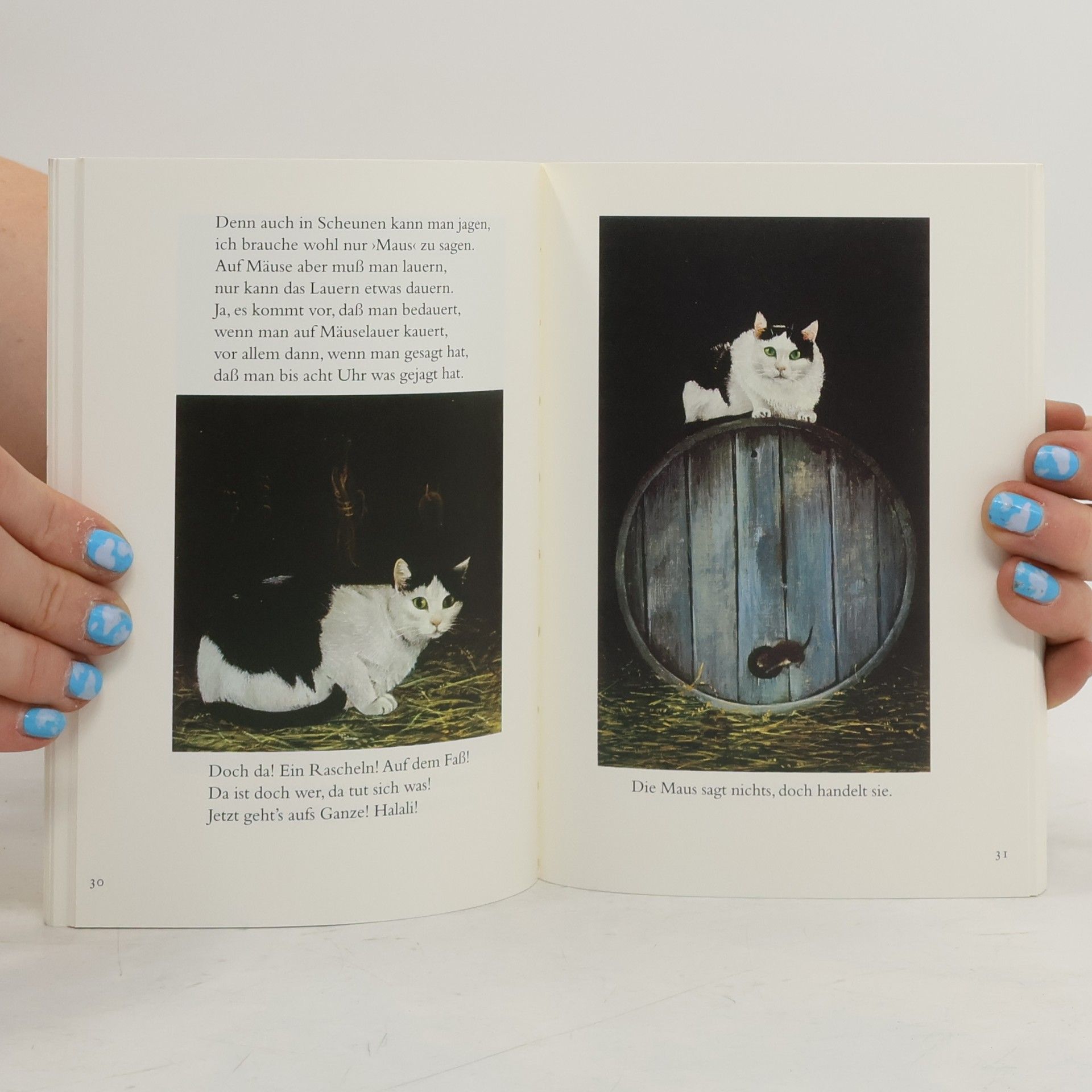 Robert Gernhardt Robert Gernhardts Katzenbuch