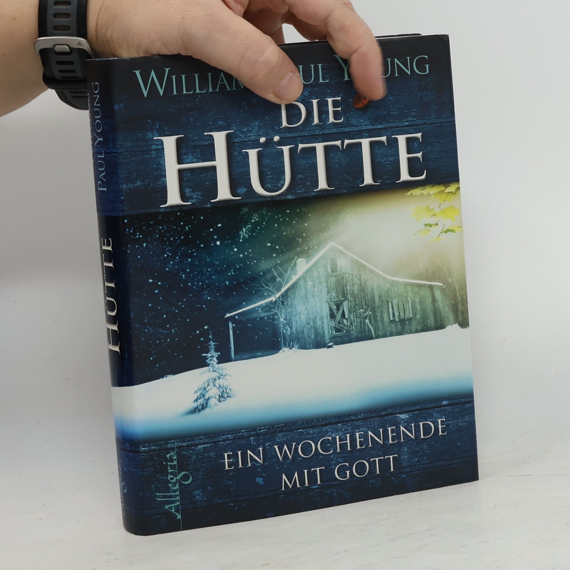 William P. Young Die Hütte