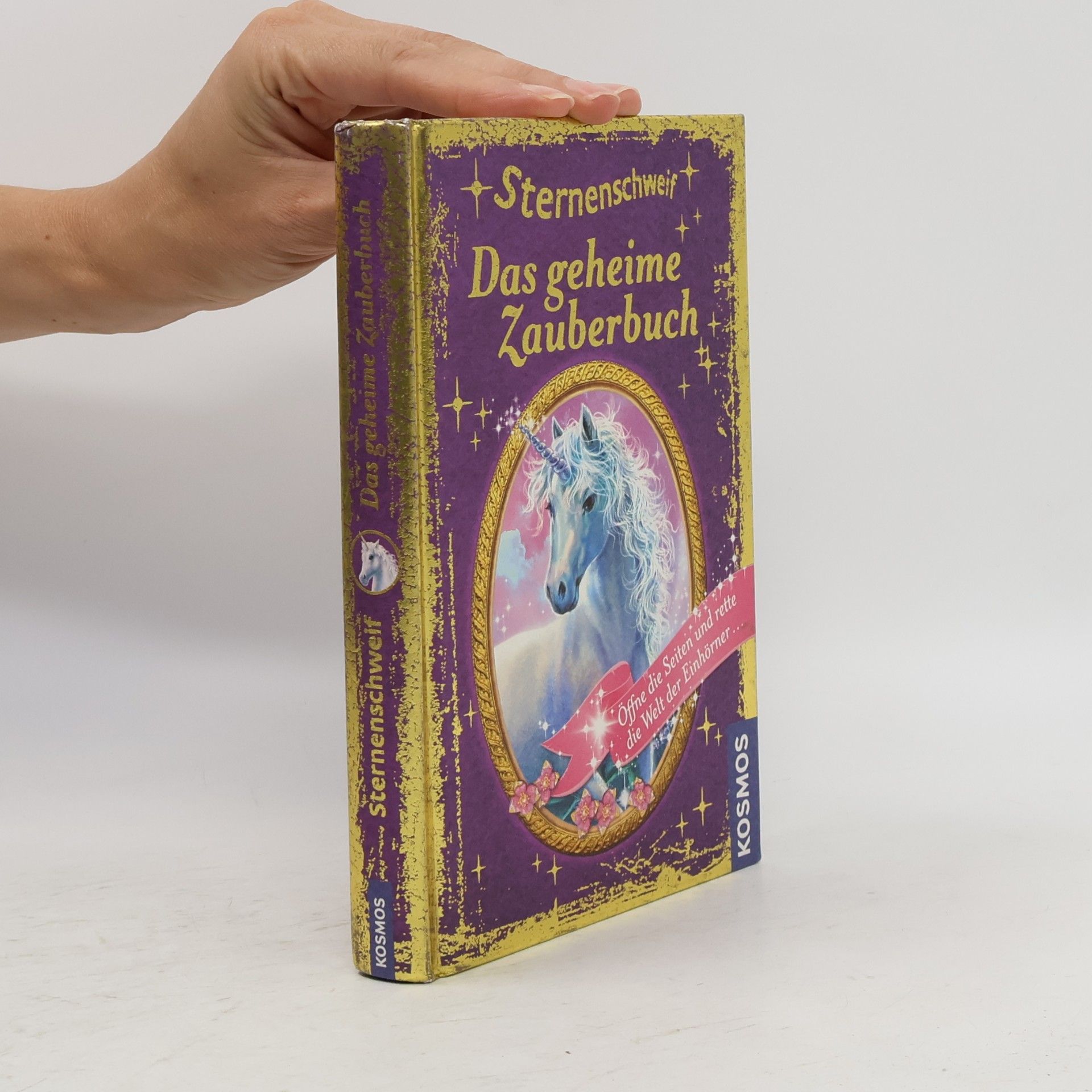 Carolin Ina Schröter Sternenschweif - das geheime Zauberbuch