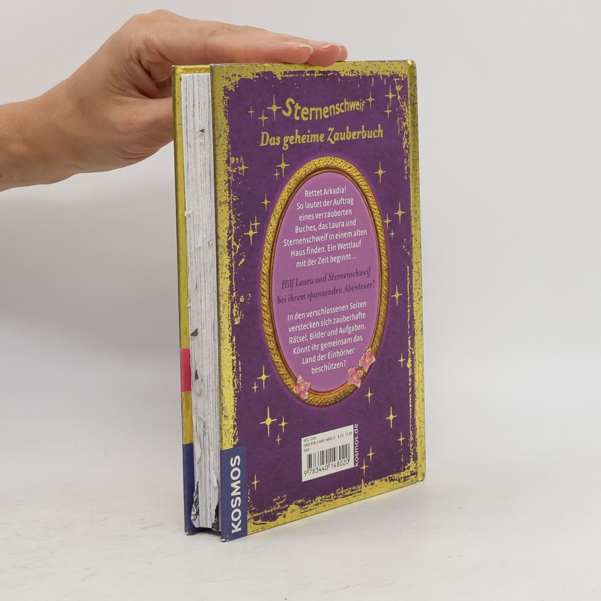 Carolin Ina Schröter Sternenschweif - das geheime Zauberbuch