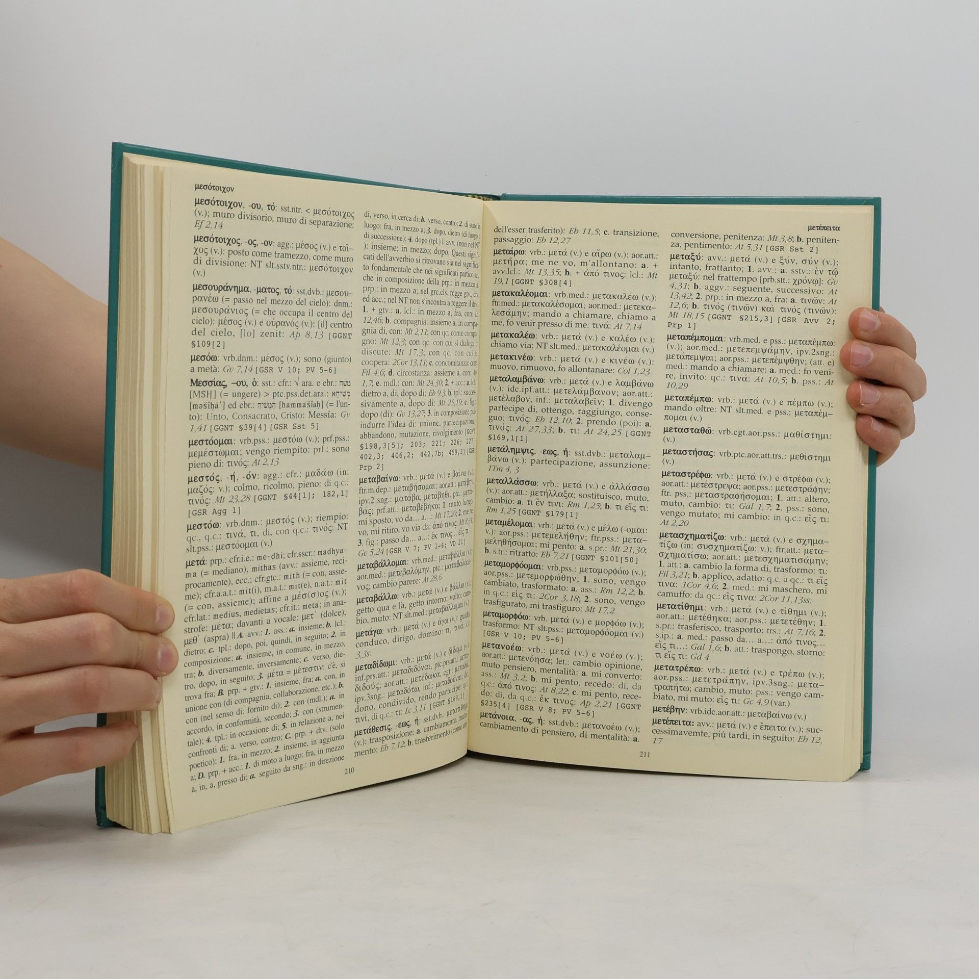Carlo Rusconi Dizionari e concordanze - 12: Vocabolario del Greco del Nuovo Testamento