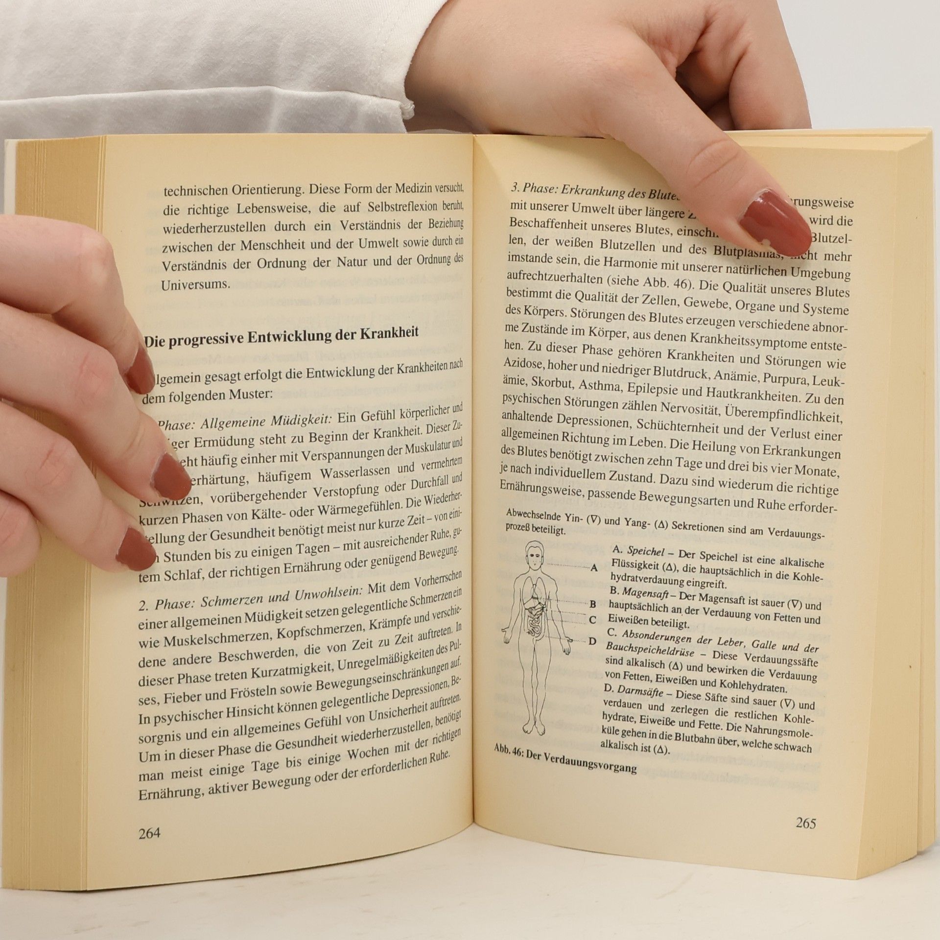 Michio Kushi Alternativ Heilen: Das grosse Buch der Makrobiotik