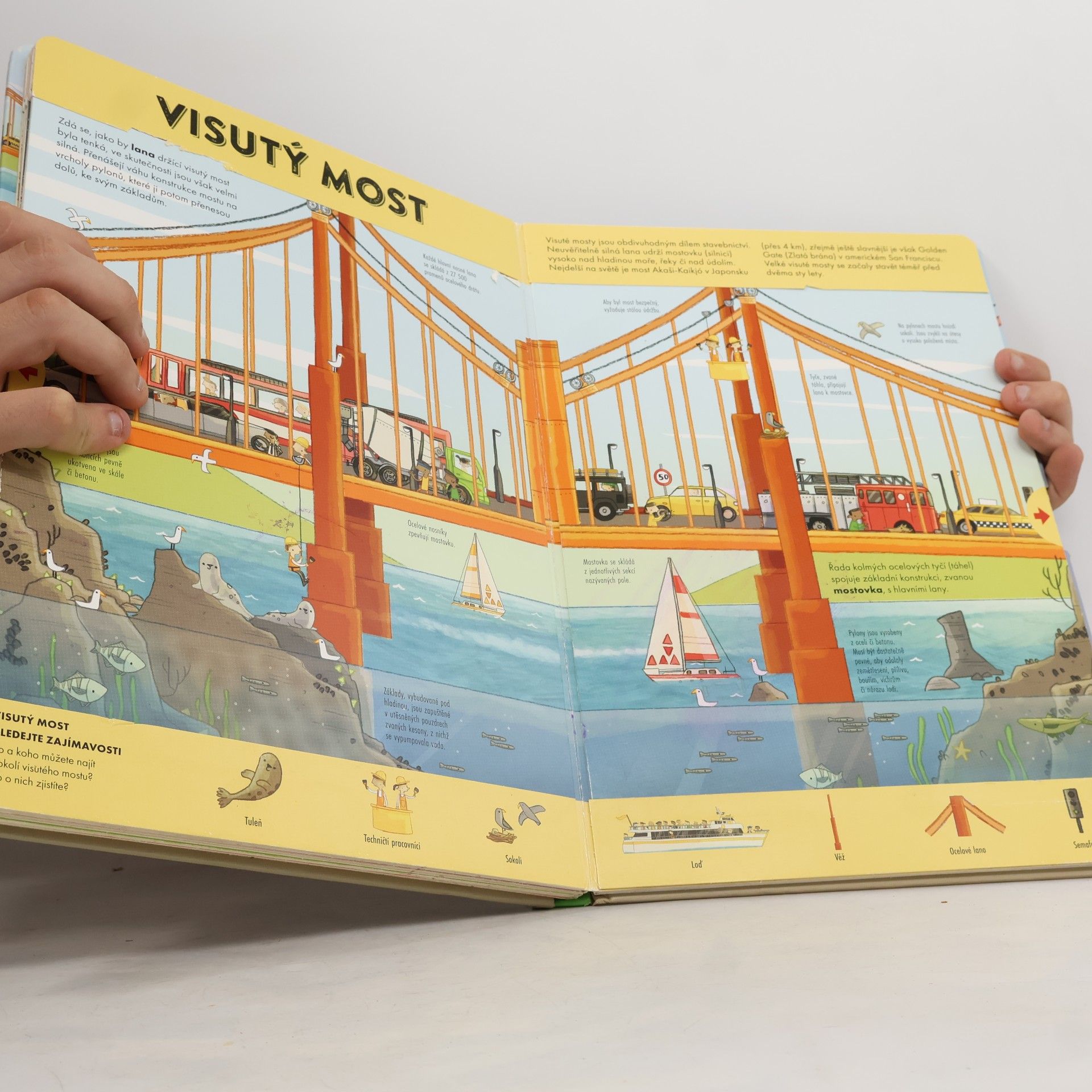 Bedoyere Camilla Stavby: Panoramatické scenérie