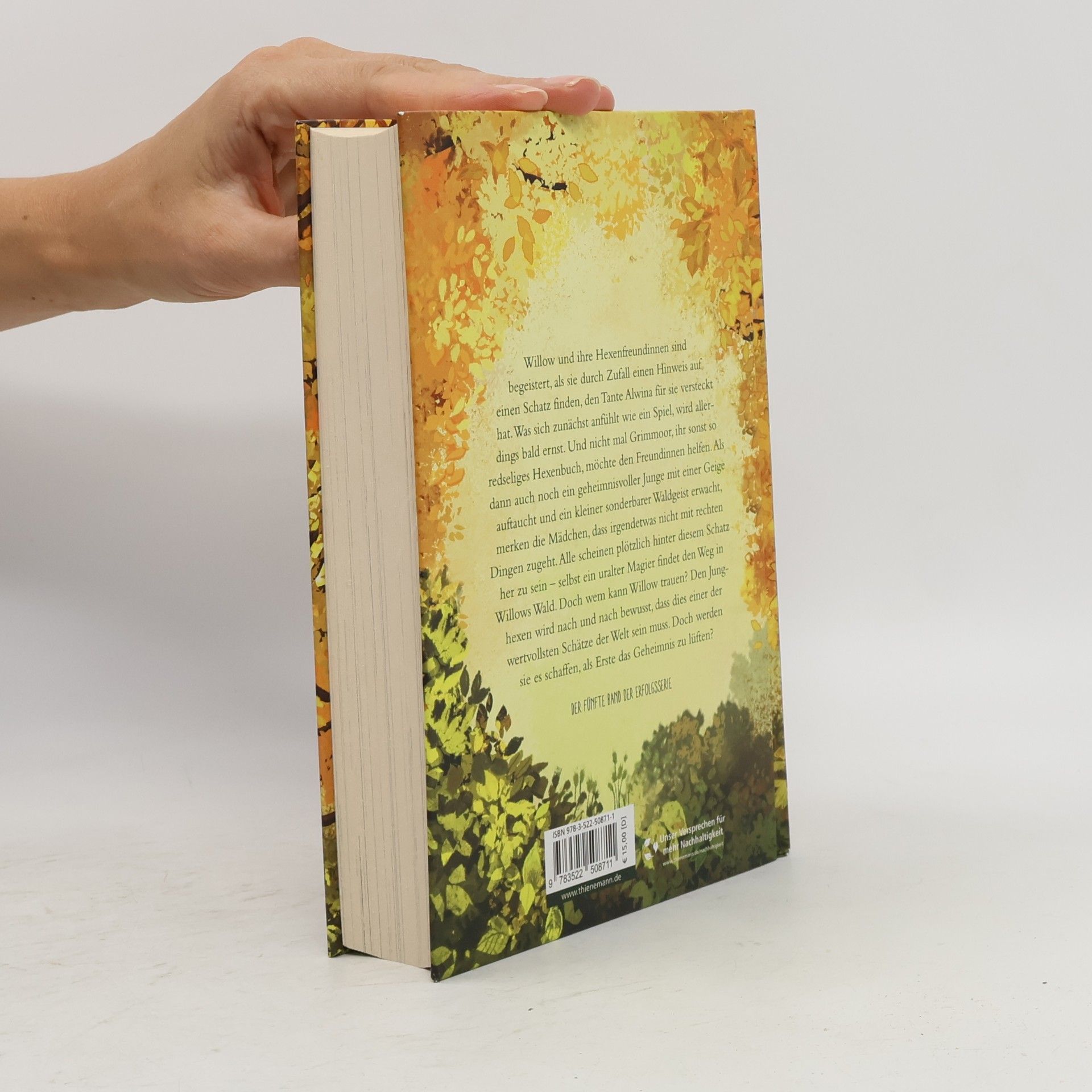 Sabine Bohlmann Schattenzeit / Ein Mädchen namens Willow Bd.5