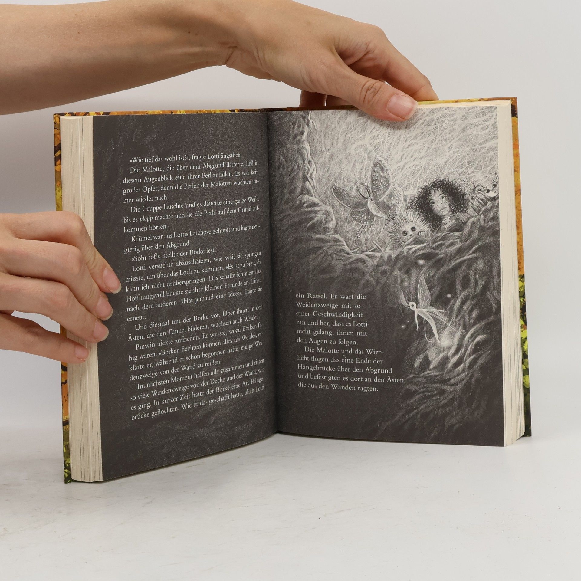 Sabine Bohlmann Schattenzeit / Ein Mädchen namens Willow Bd.5