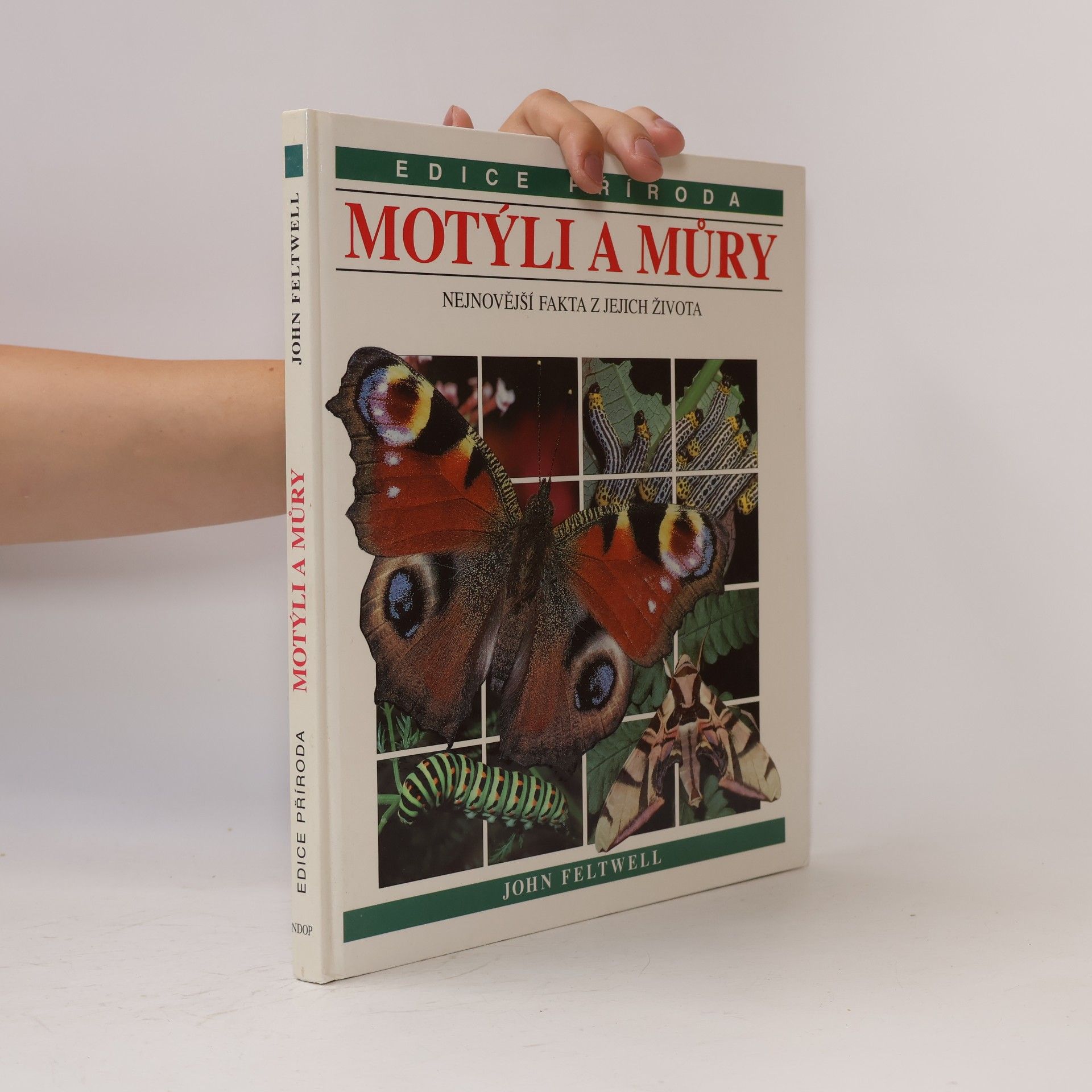 John Feltwell Motýli a můry