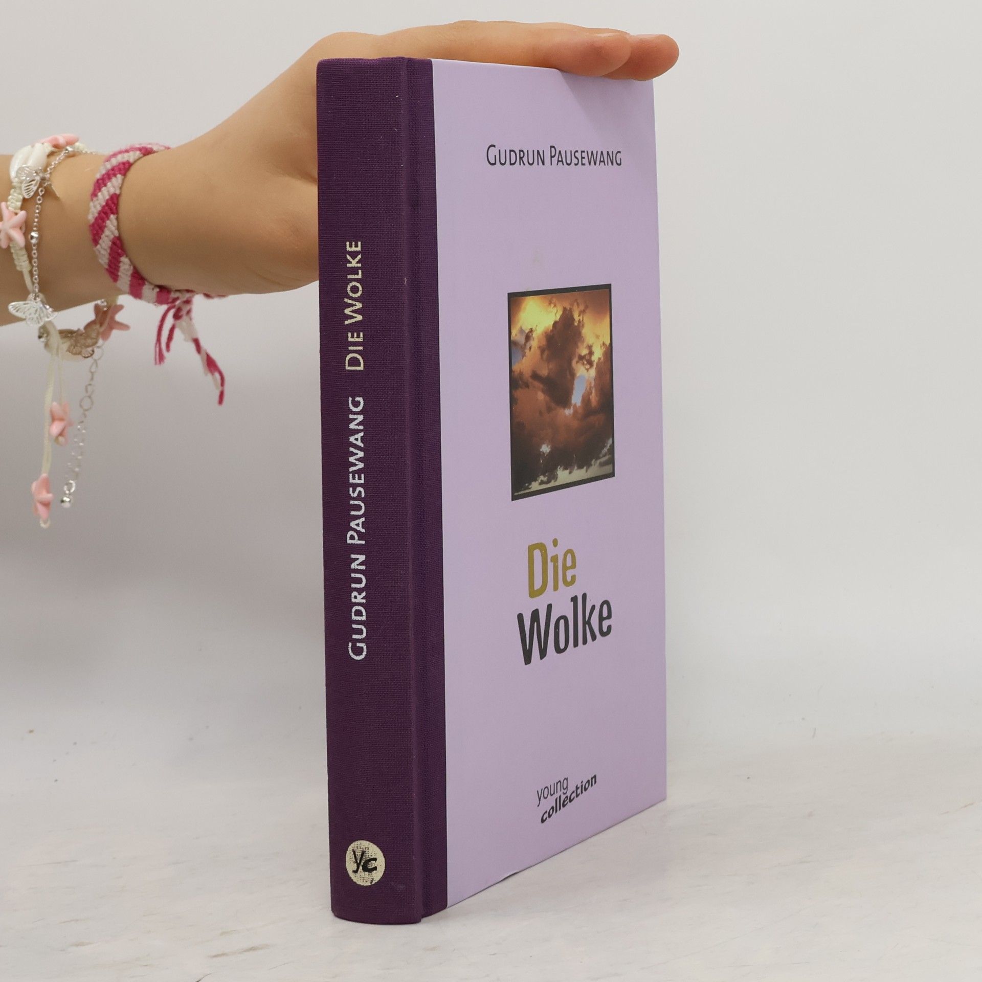 Gudrun Pausewang Die Wolke