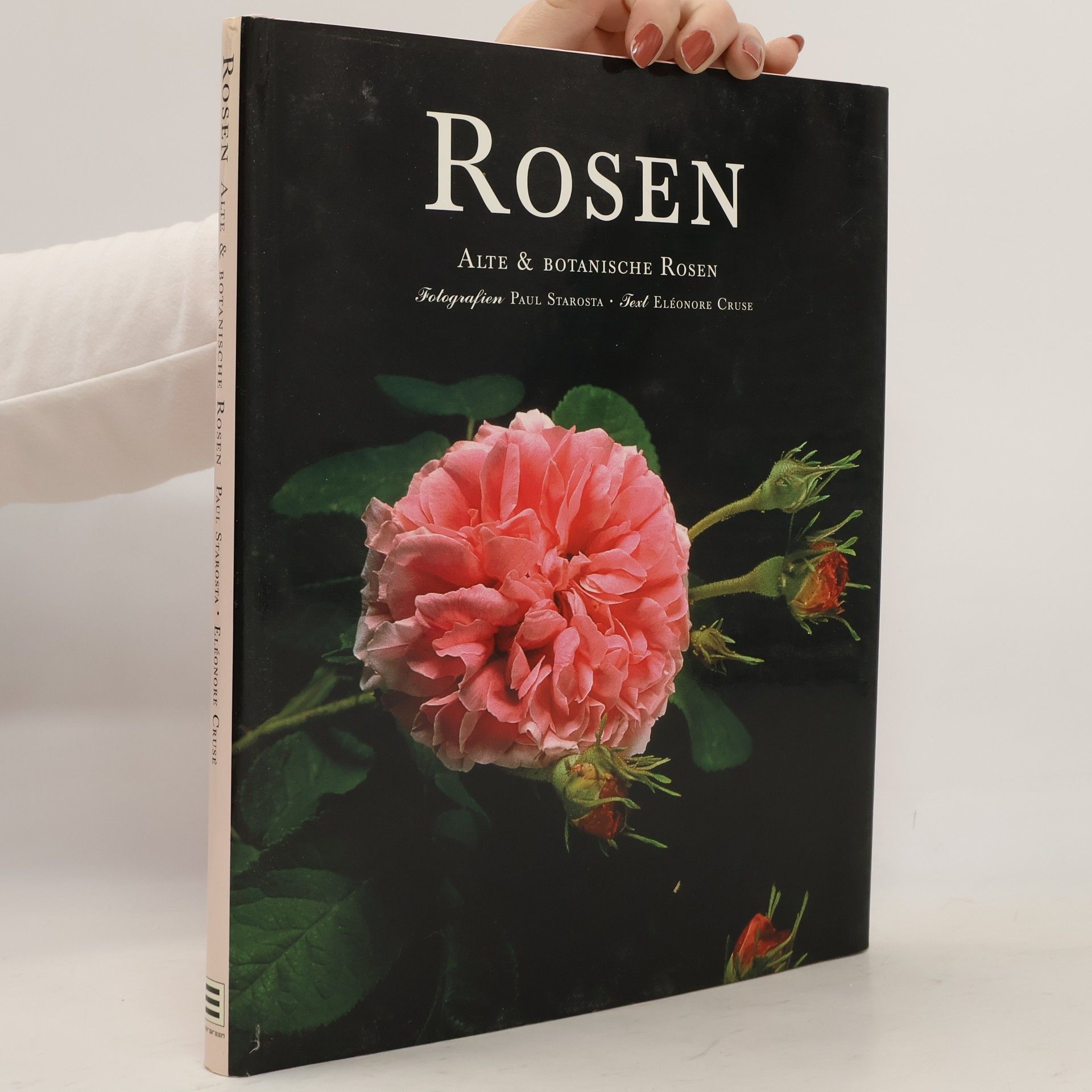 Paul Starosta Rosen