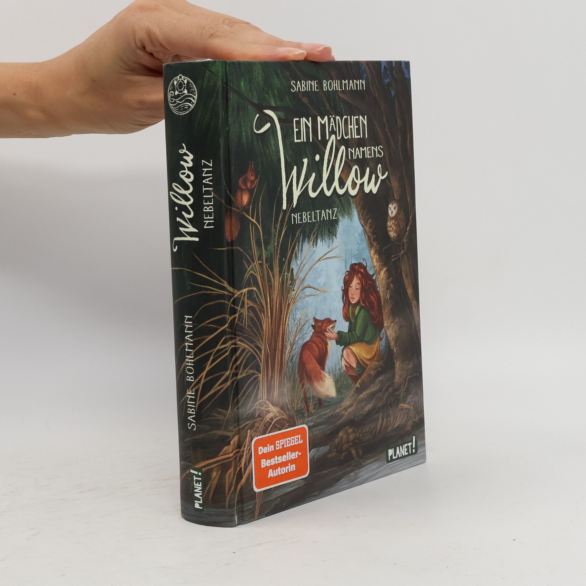 Sabine Bohlmann Ein Mädchen namens Willow 4: Nebeltanz