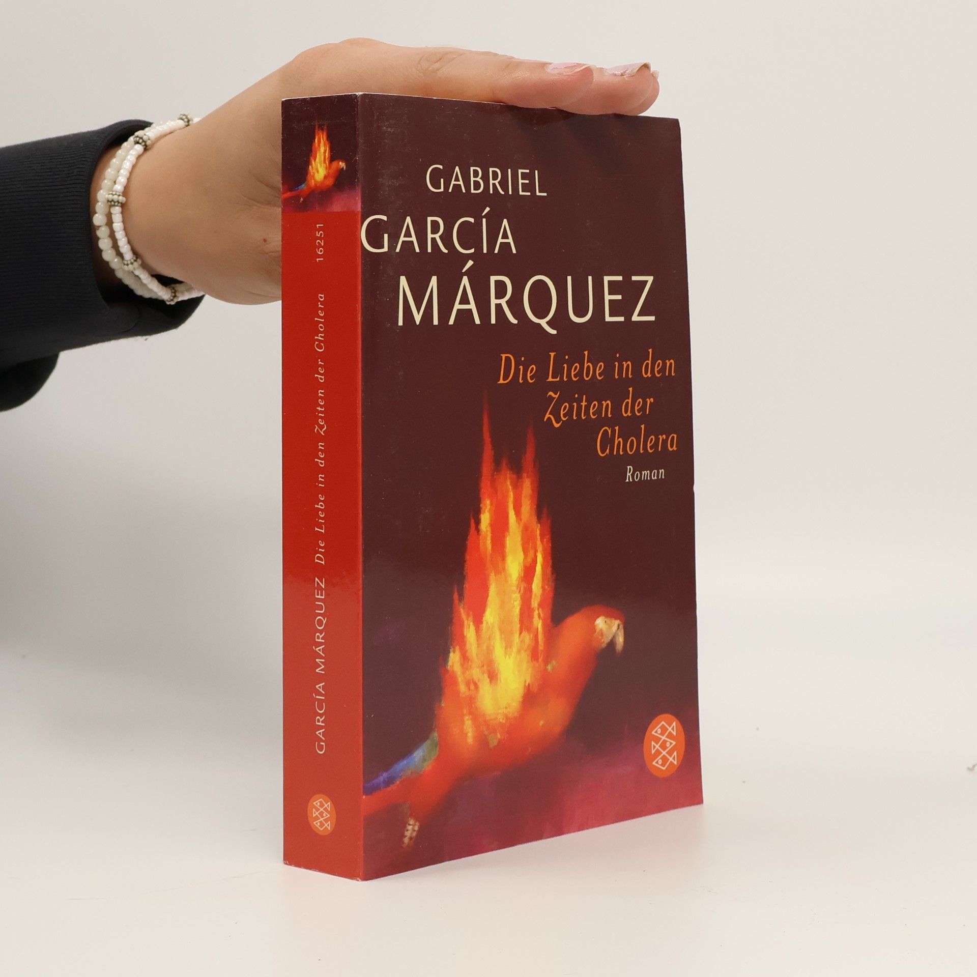Gabriel García Márquez Die Liebe in den Zeiten der Cholera