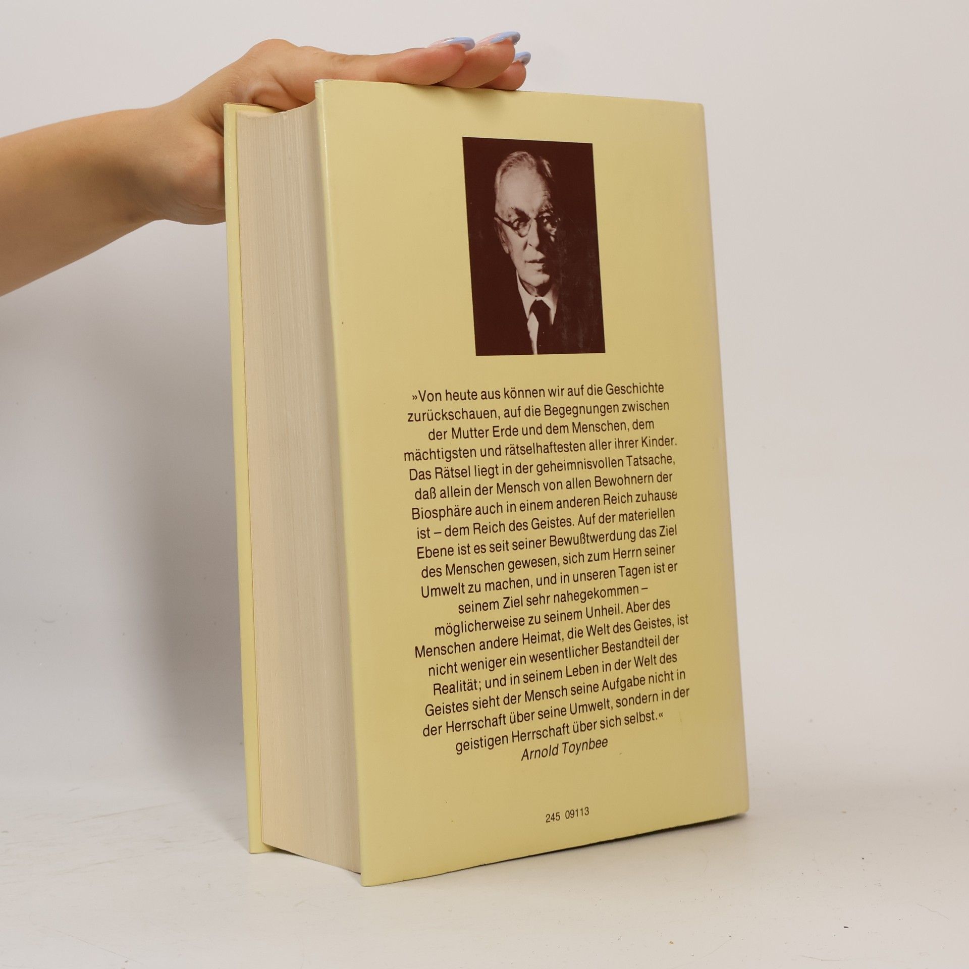 Arnold J. Toynbee Menschheit und Mutter Erde