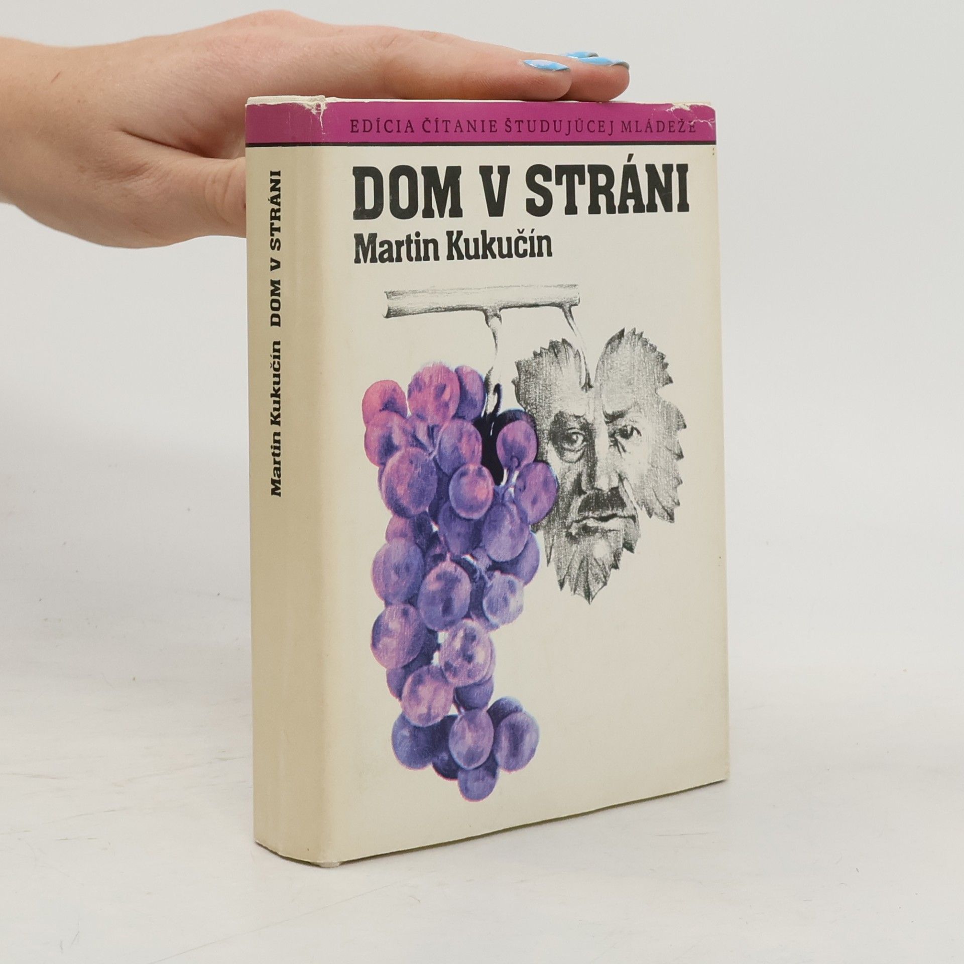 Martin Kukučín Dom v stráni
