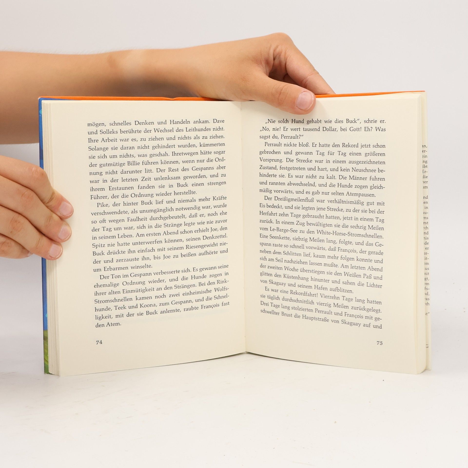 Autores varios Sport 76/77 Österreichisches Sportjahrbuch
