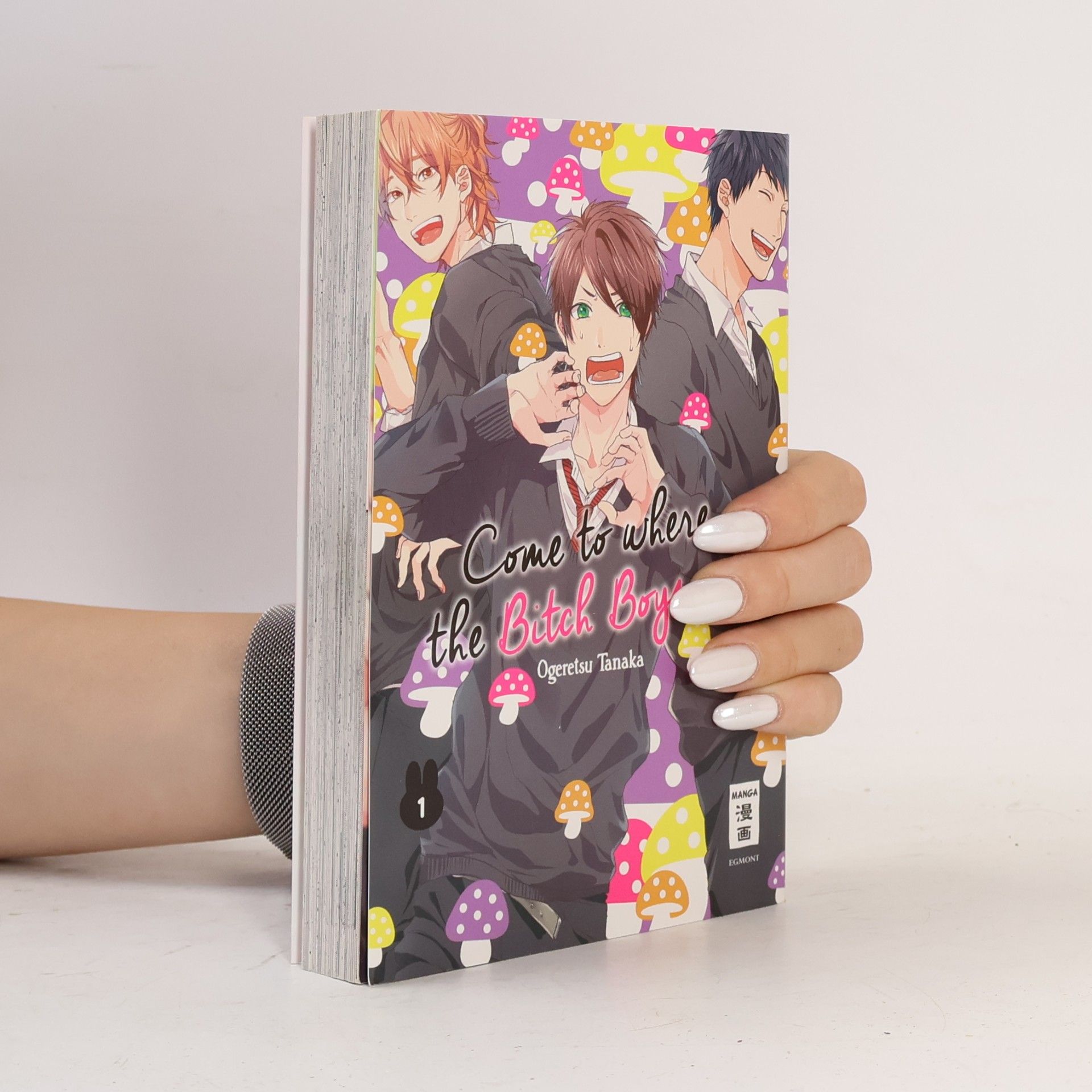 Ogeretsu Tanaka Come to where the Bitch Boys are vol. 1
