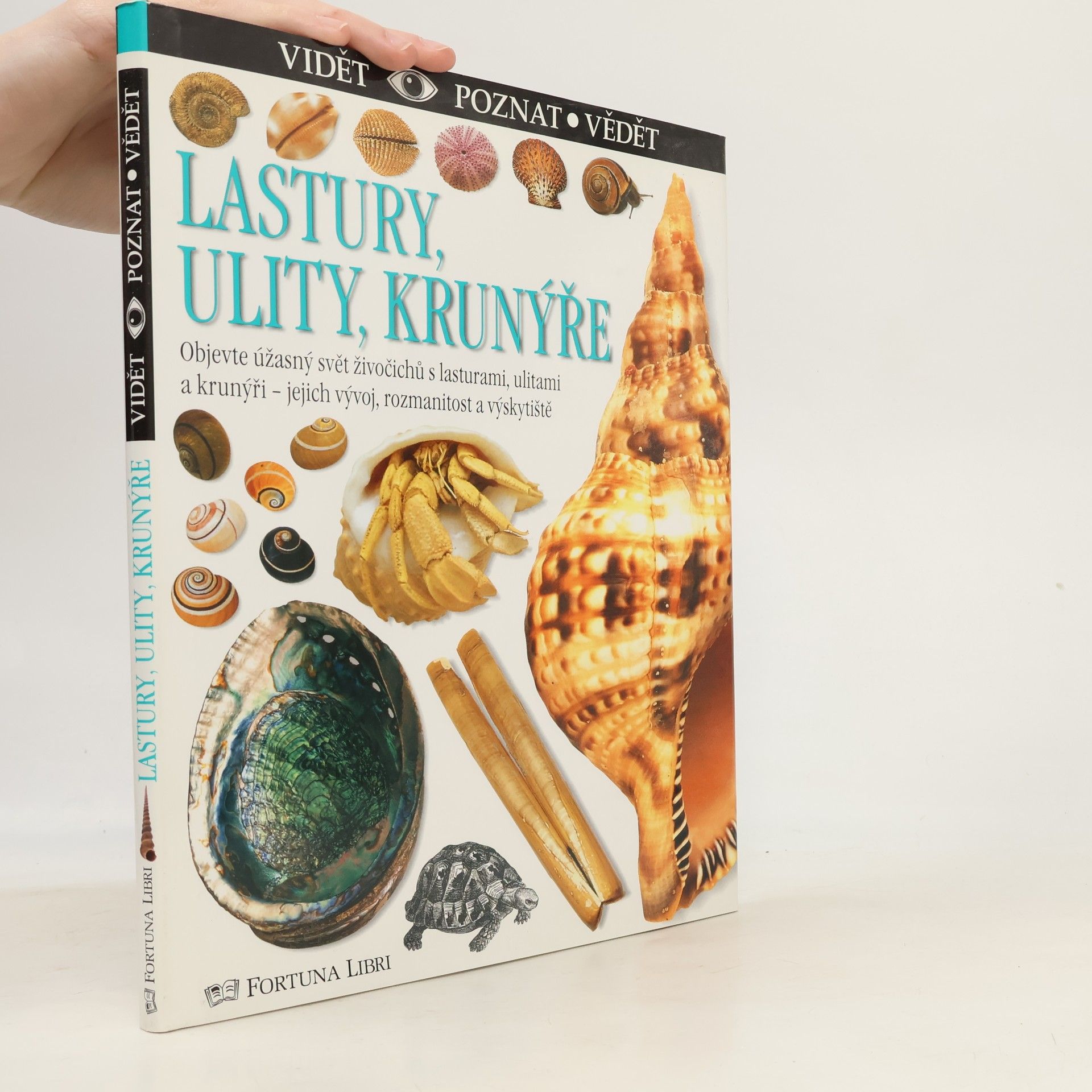 Alex Arthur Lastury, ulity, krunýře