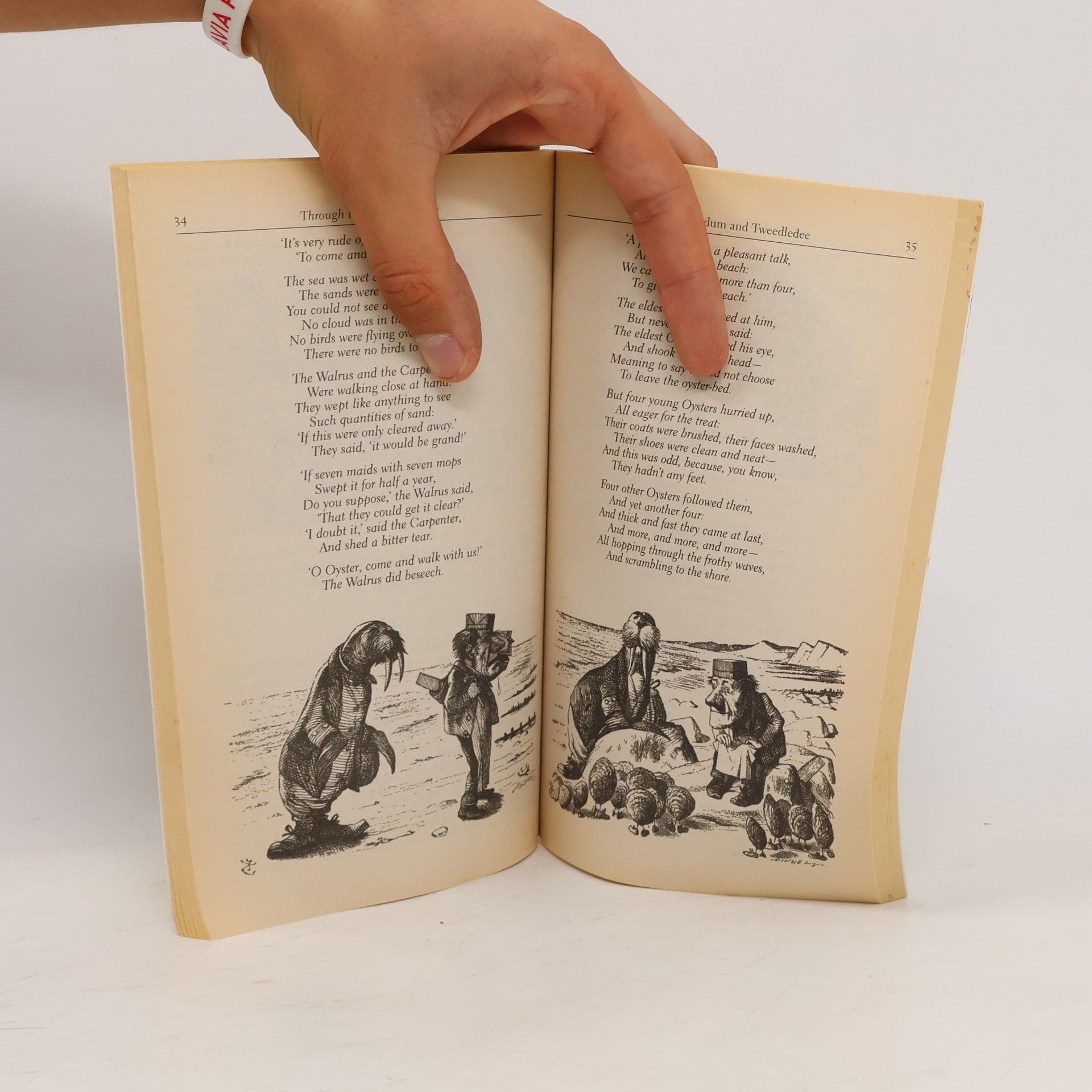Lewis Carroll Through the looking-glass