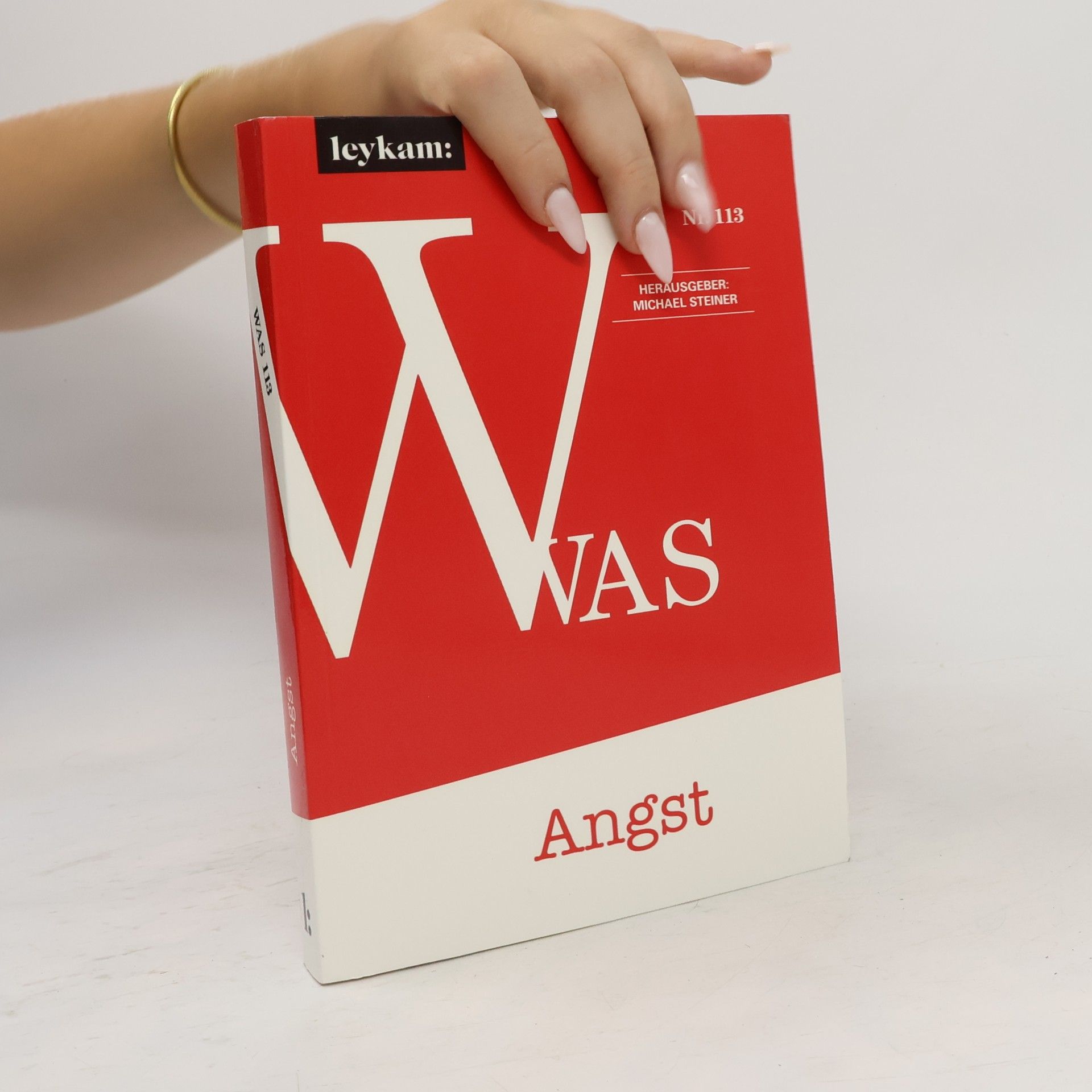 Michael Steiner WAS 113 - Angst