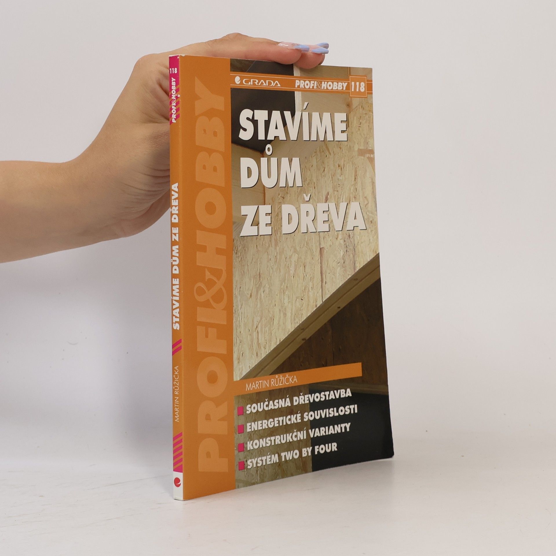Martin Růžička Stavíme dům ze dřeva