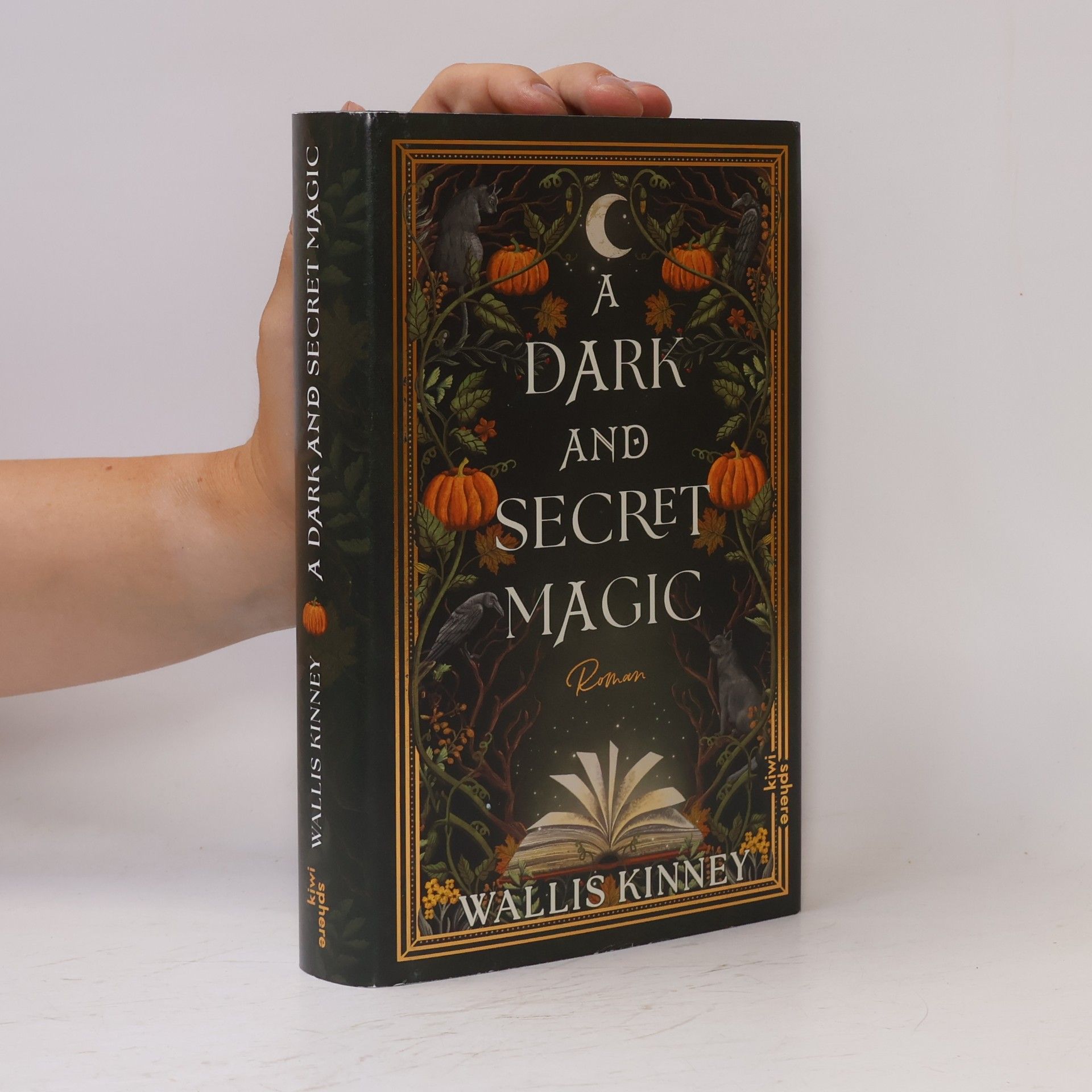 Wallis Kinney A Dark and Secret Magic