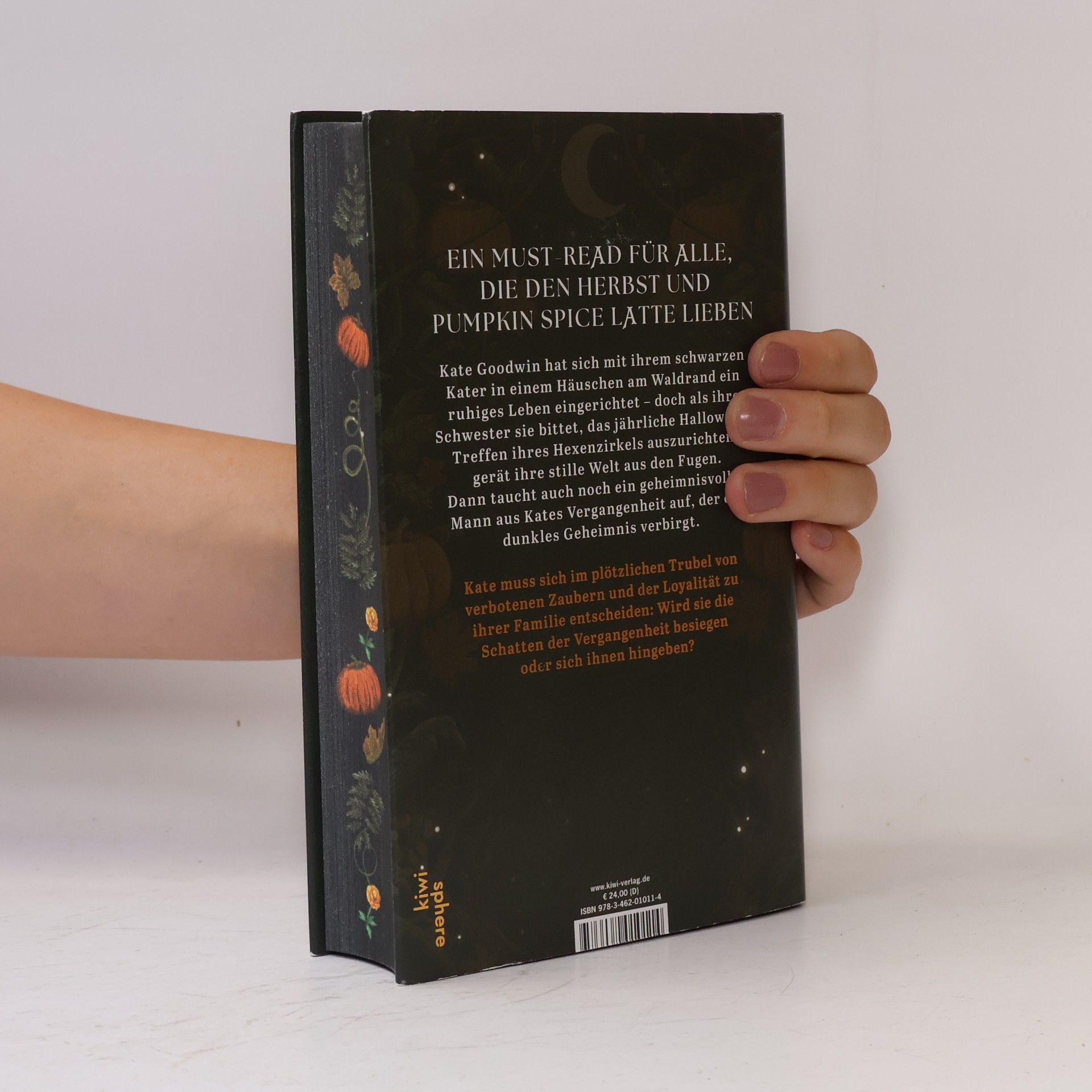 Wallis Kinney A Dark and Secret Magic
