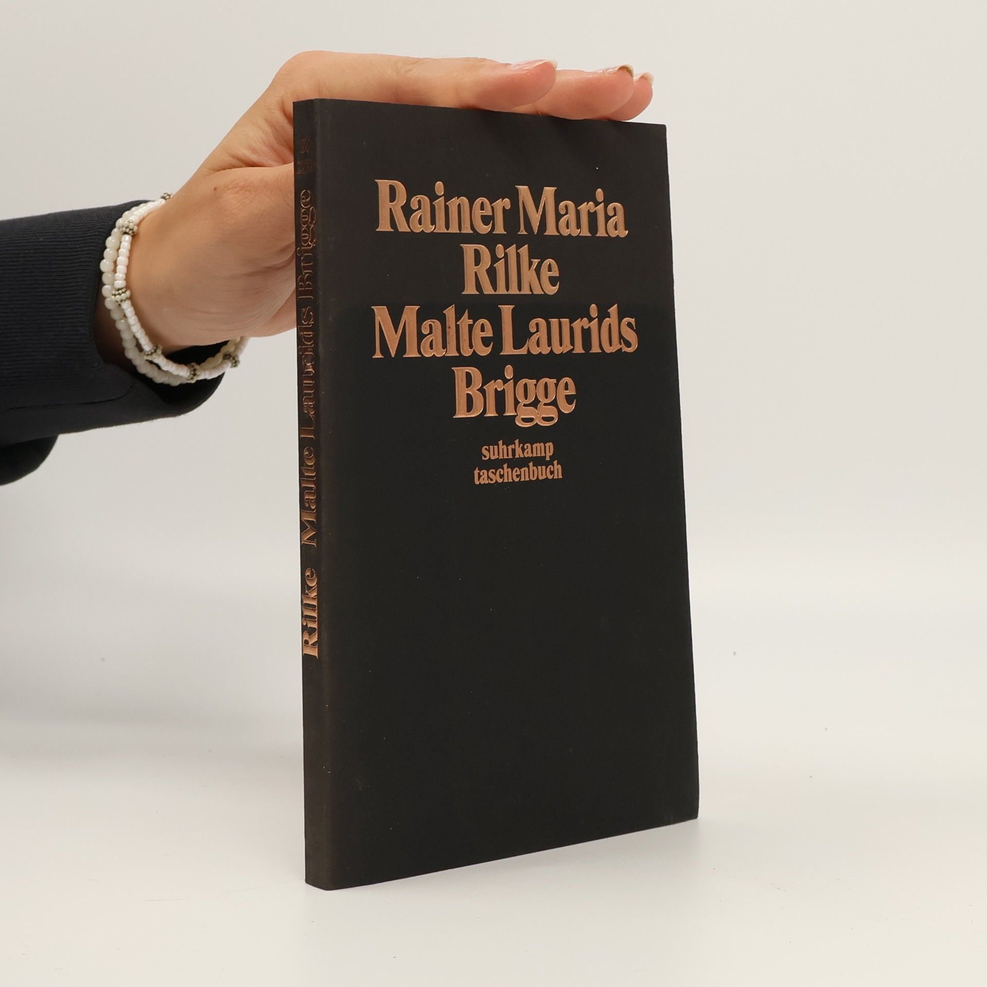 Rainer Maria Rilke Die Aufzeichnungen des Malte Laurids Brigge